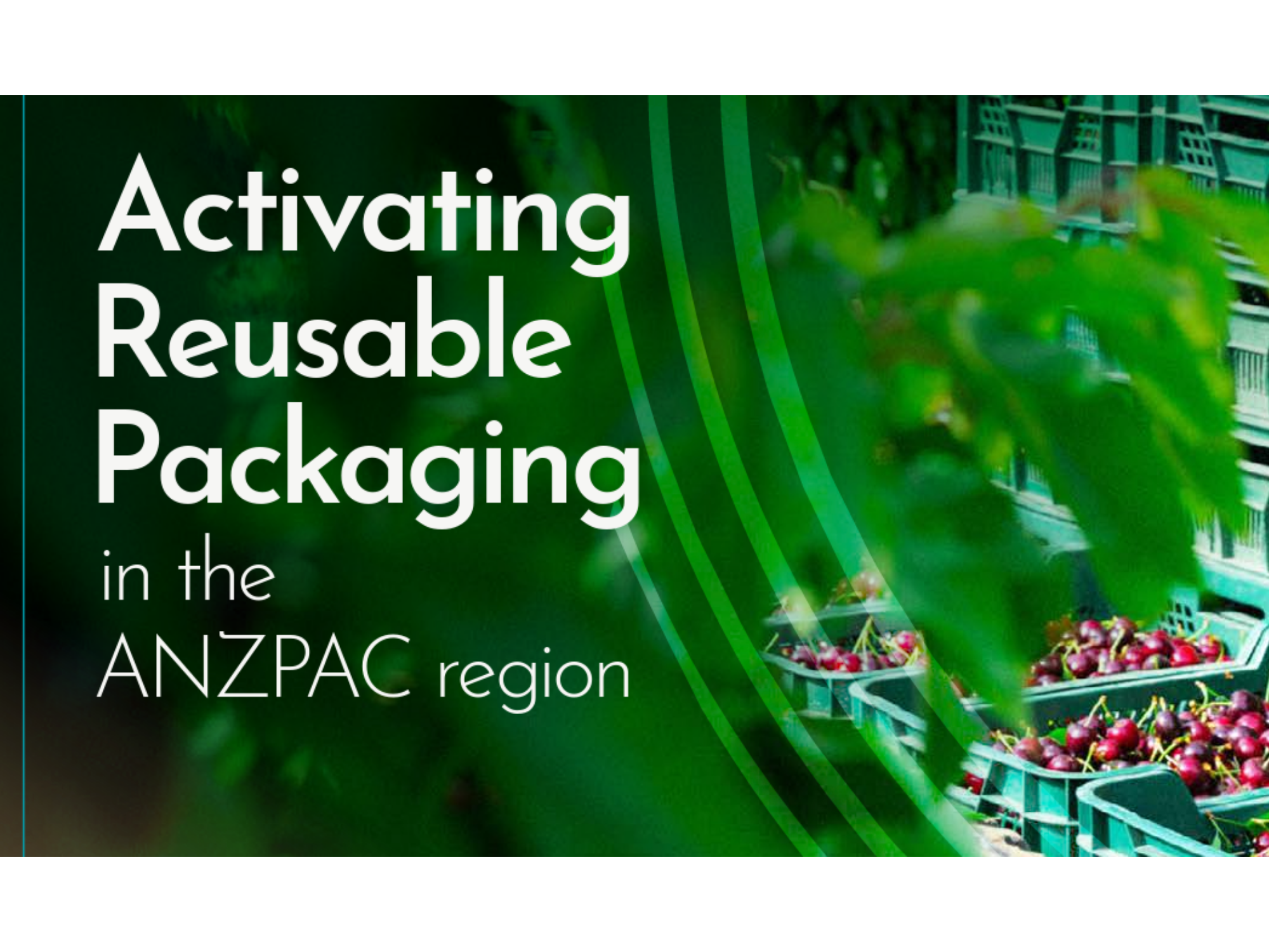 September 2024 - The PR3 Reusable Packaging Systems Standards are a key recommendation in the ANZPAC report. The report recommends utilizing the PR3 standards to ensure measurement and evaluation efforts are rigorous and industry aligned. 