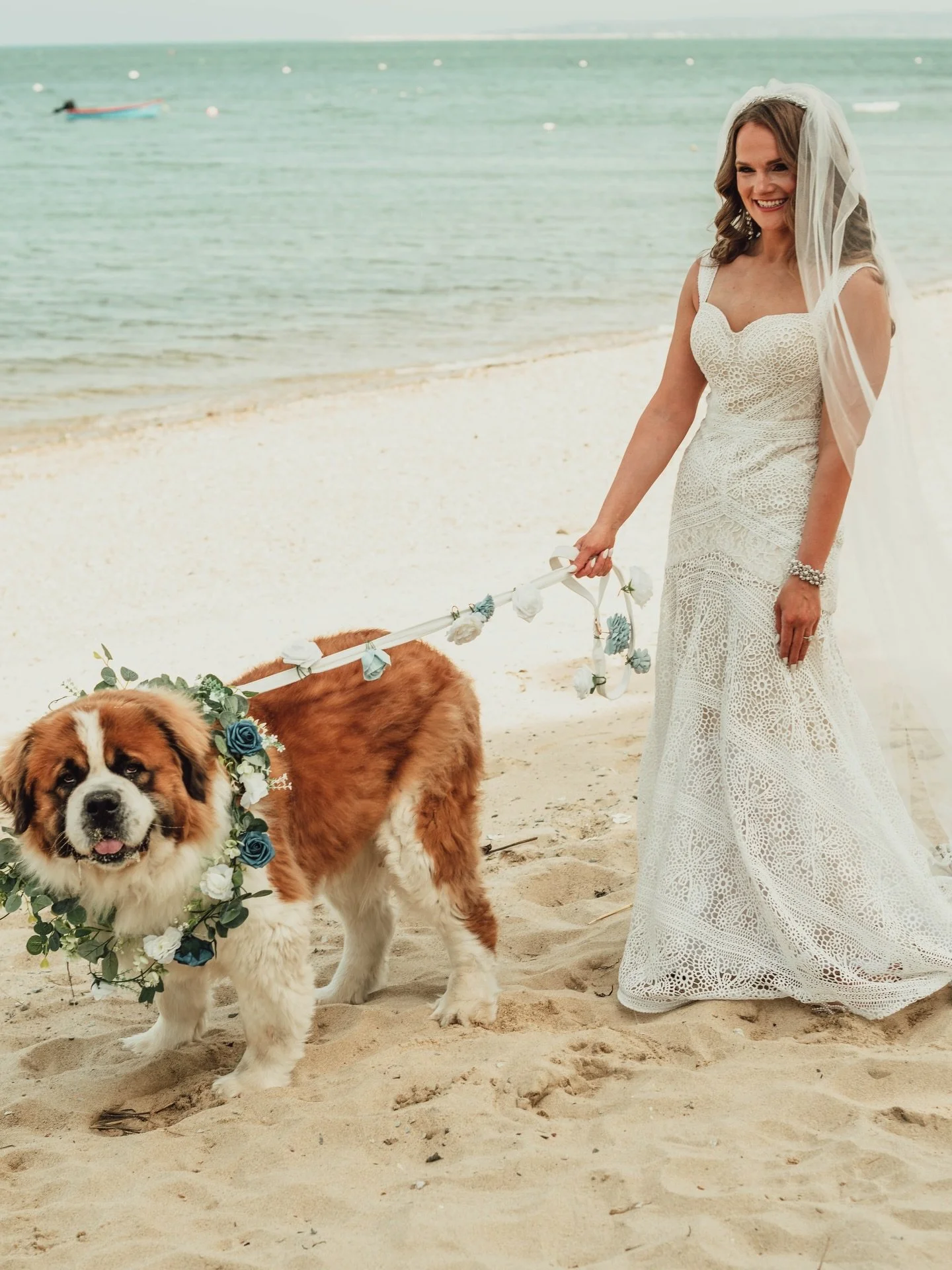 this is your sign to do your first look with your dogs 🐶

Photographer @hanahrosephotos 
Coordinator @fosterevents 
Venue @duxburybaymaritimeweddings 
Catering @aldenparkrestaurant 
Hair @cindygbeauty 
Make-up @baby.face.studio 
DJ @capetunes 
Trans