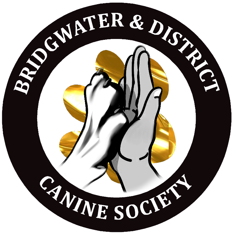 B&amp;DCS LIMIT SHOW 26 