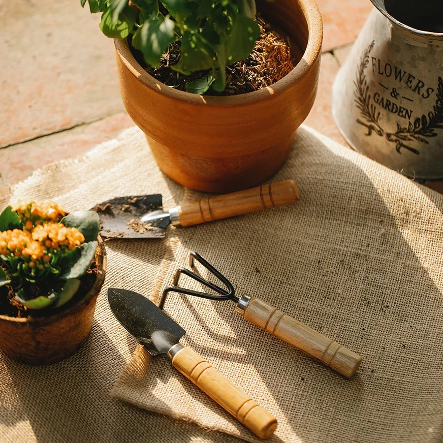 7 Weekend Projects That Can Increase Your Home's Value