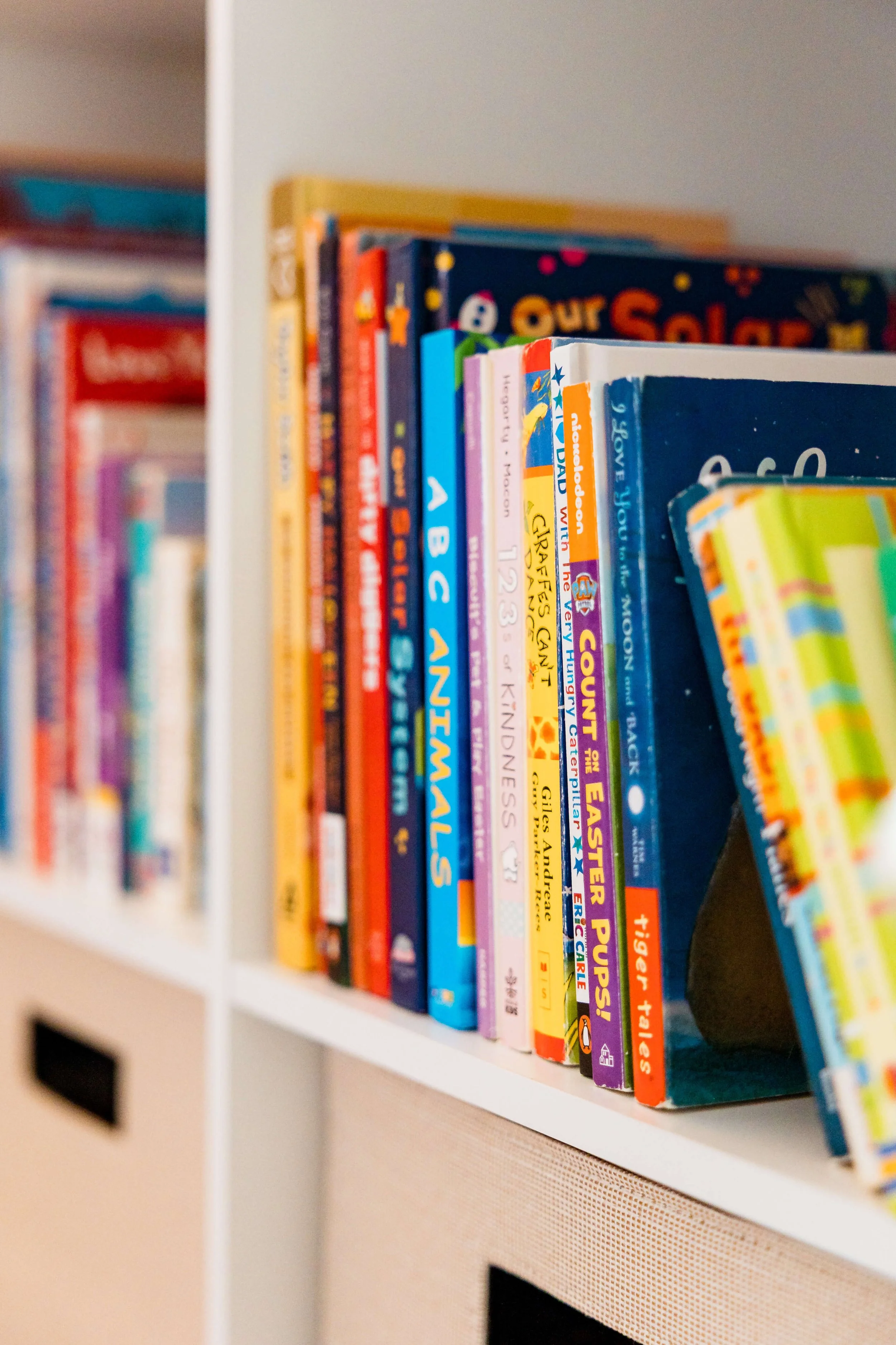 Book organization in playroom.