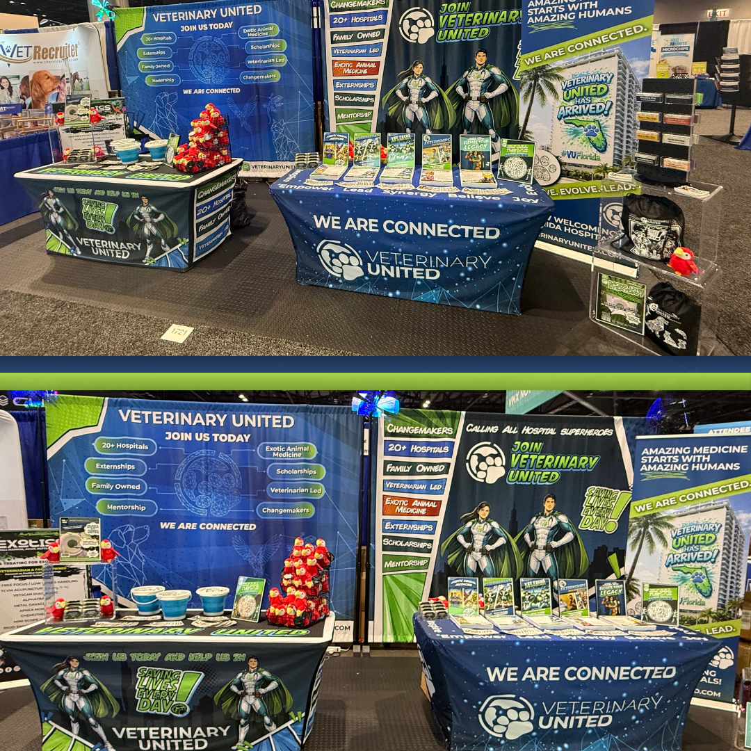 Environmental & Event Design