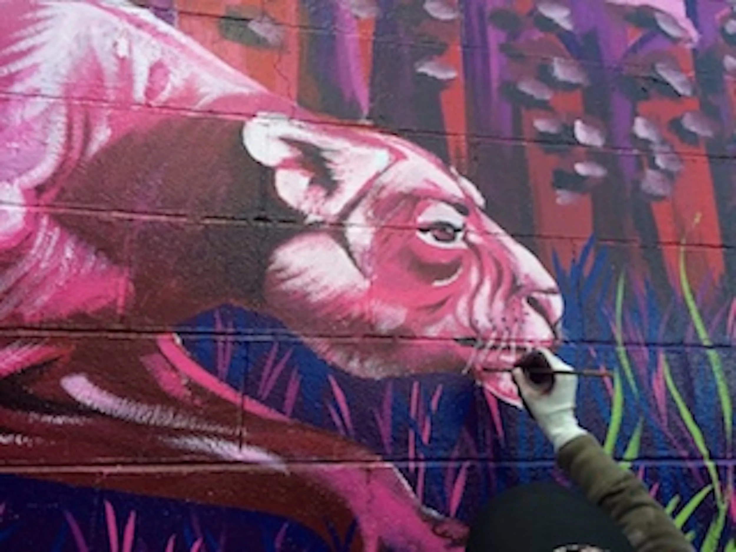 olympia mural