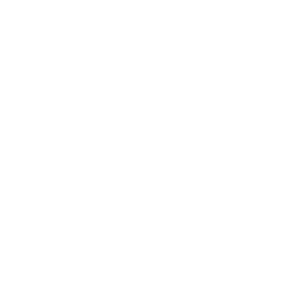 Fal Beer Fest