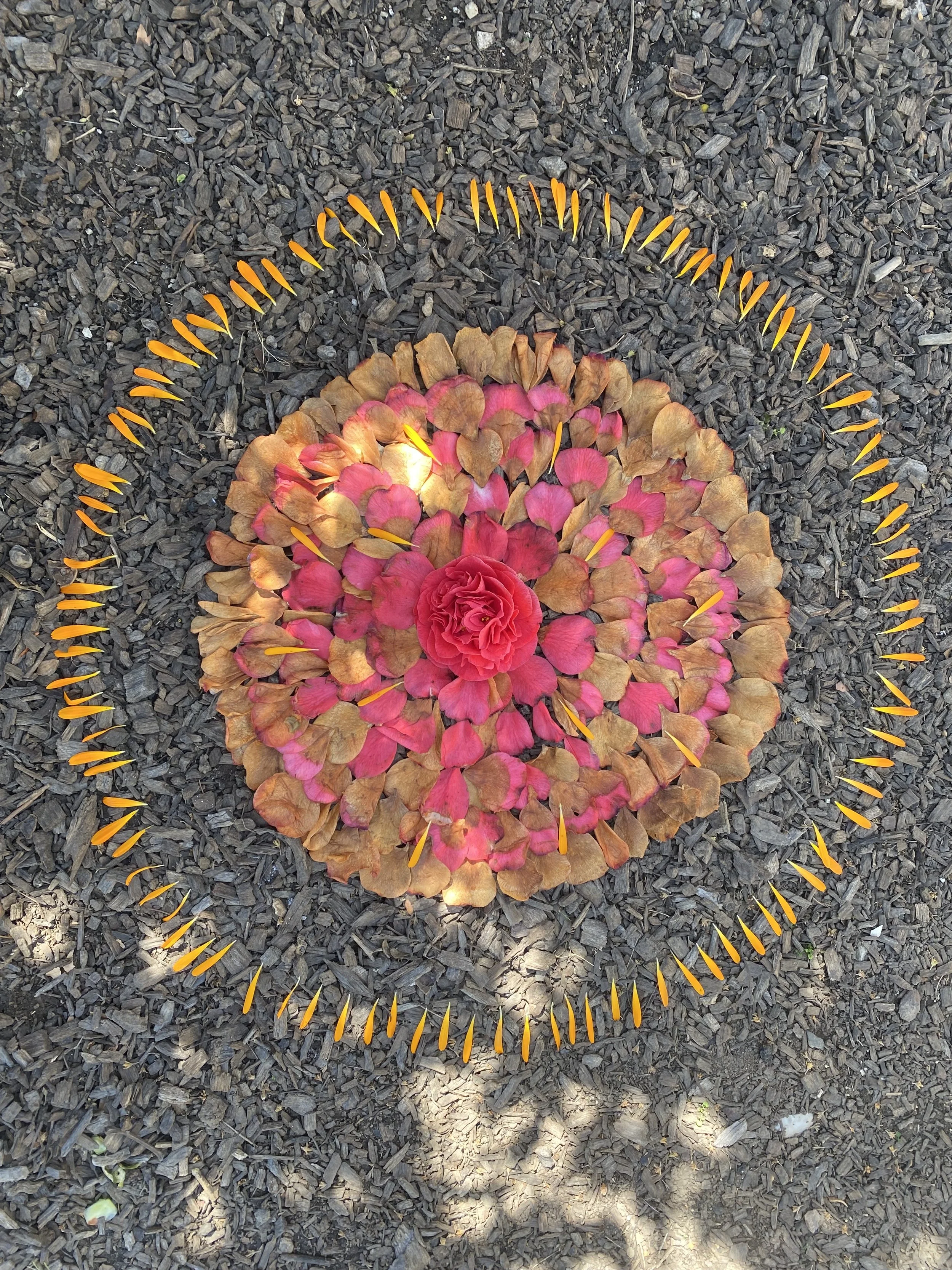art nature therapy