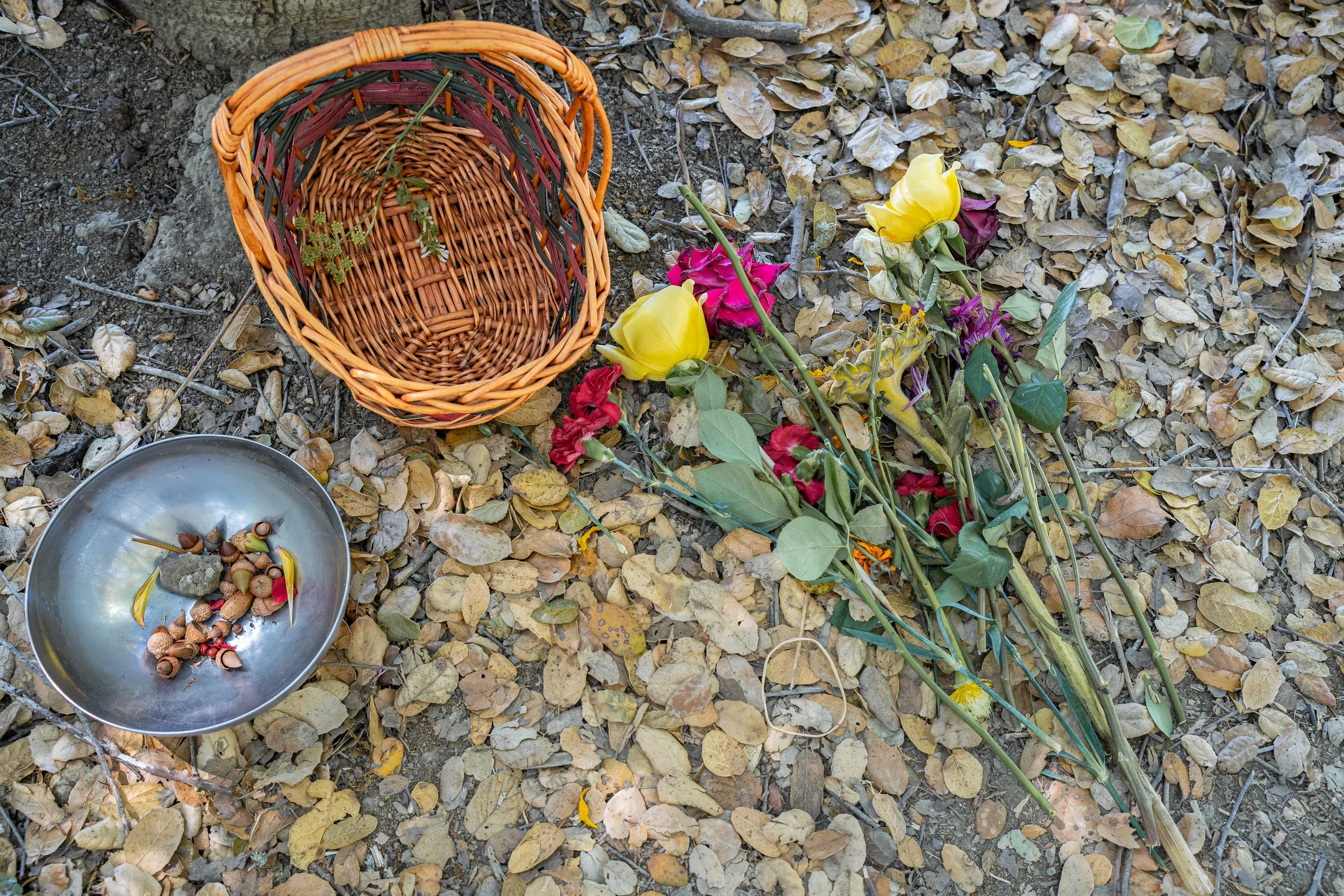 altar building, nature art therapy, morning altars