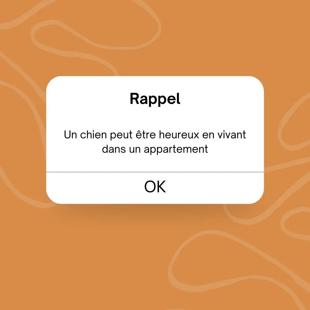 Oui, oui et oui ! Vous pouvez adopter un chien m&ecirc;me si vous vivez en appartement ! 🏢
.
N'&eacute;coutez pas tous ces gens qui soutiennent qu'un chien &agrave; besoin d'un jardin pour &ecirc;tre heureux, c'est faux et c'est m&ecirc;me un pi&egr