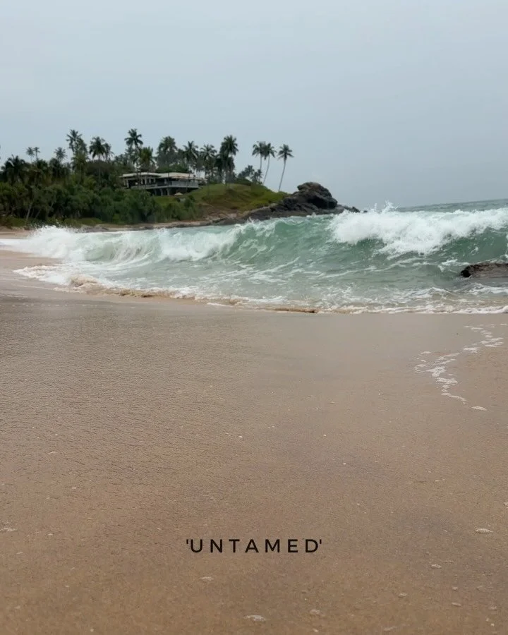 I didn&rsquo;t expect midlife to show me who I am, to challenge my beliefs about the world, my place in it and who I am. You could say I&rsquo;m meeting myself again, just on a different level, with fresh eyes and more compassion.

But here she is &h