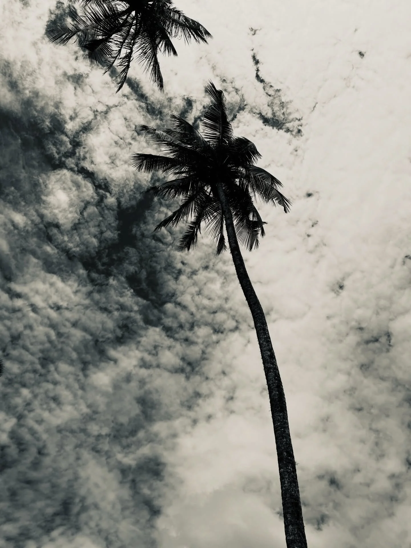 W I L D  and F R E E. 

My latest collection of abstract paintings delving into the depths of what lies inside us all. 
When we centre ourselves, let go, come home to our heart, trusting ourselves. 

I&rsquo;ll be showing these paintings @theotherart