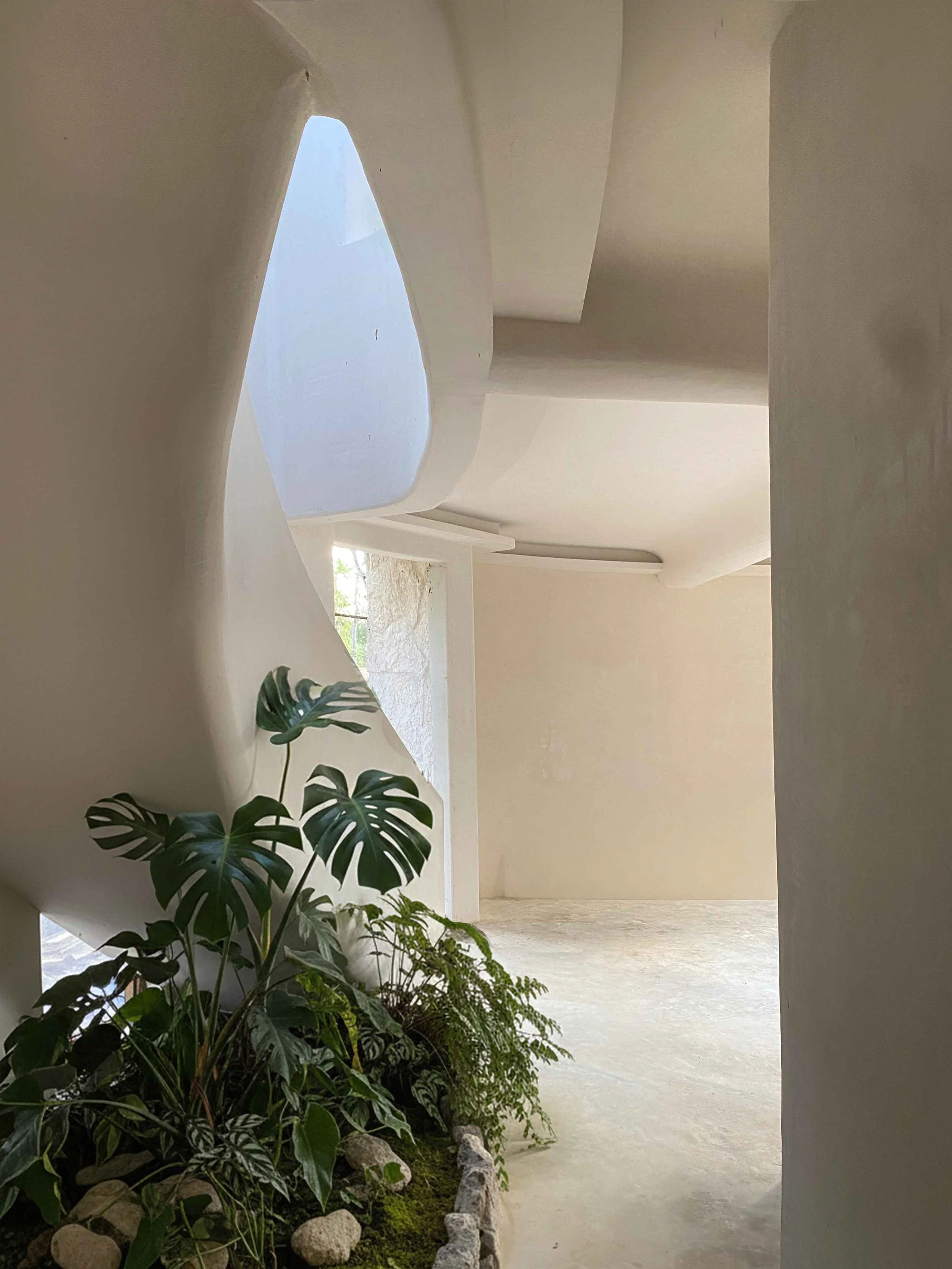 Indoor landscaping natural craftsmanship used in the construction of eco-conscious homes in Tulum.