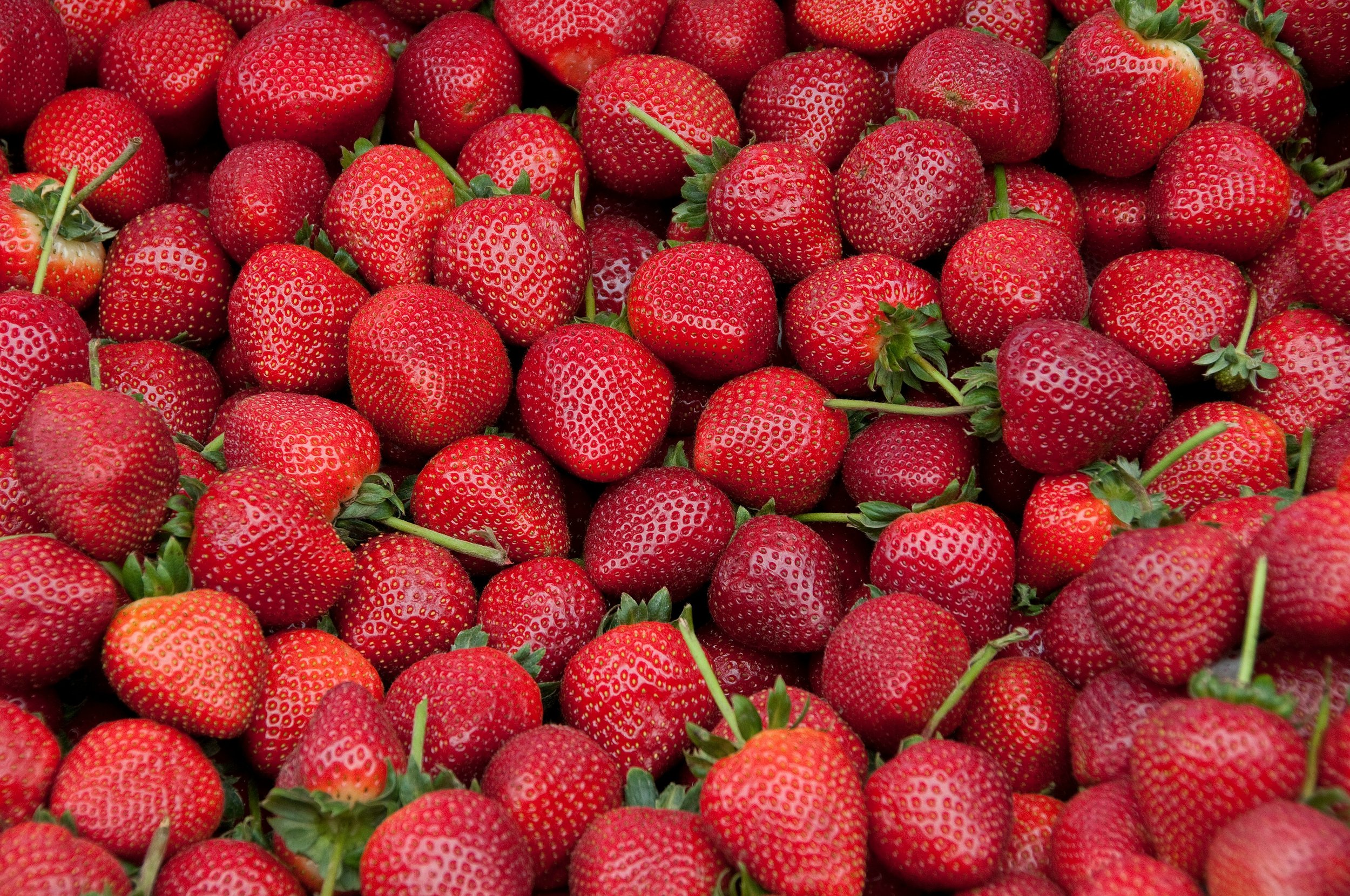 Seascape Strawberries