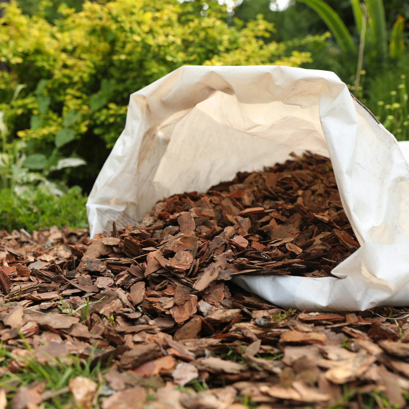 Open bag of wood chips spilling onto grass in a garden setting