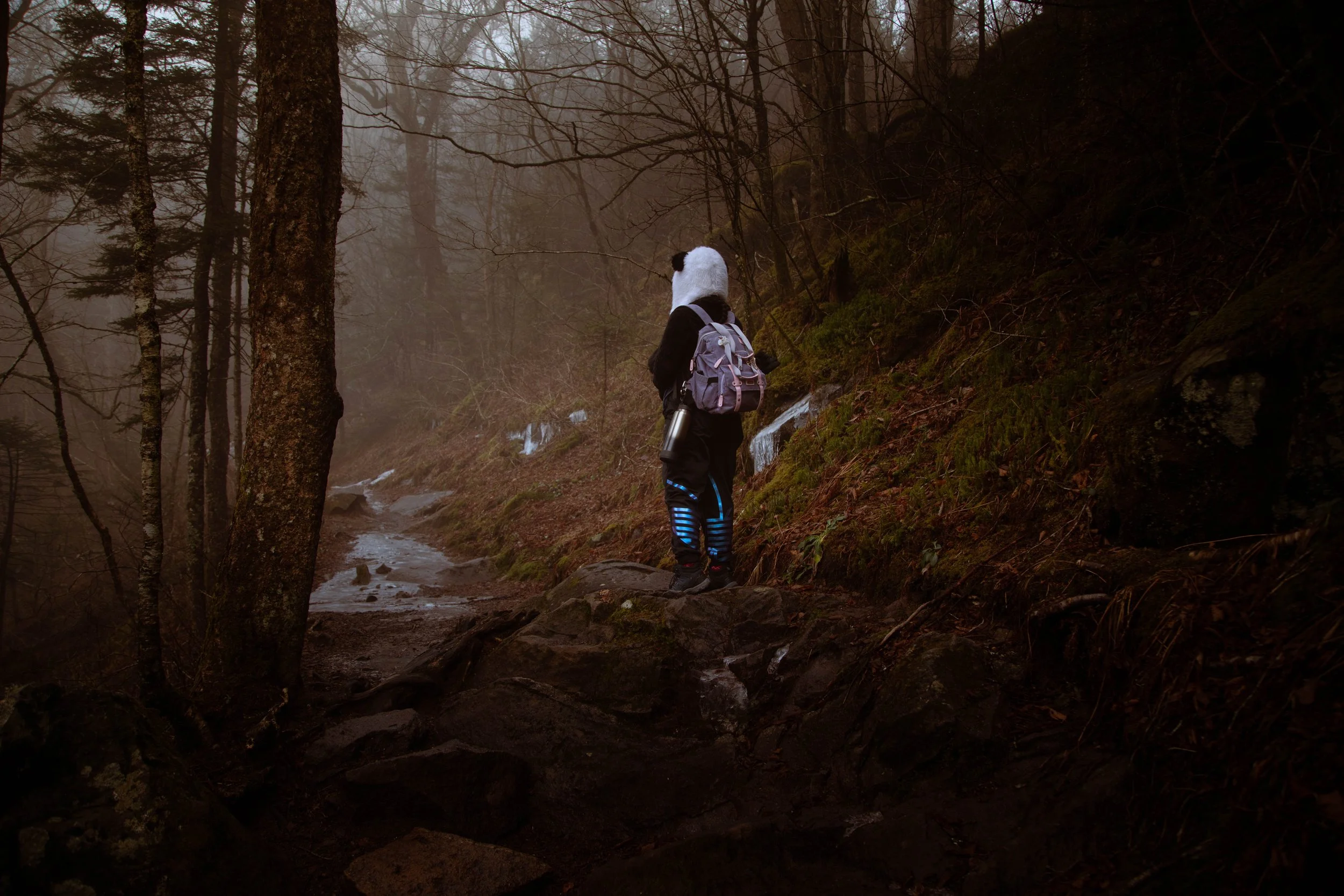 cinematic pannda.jpg