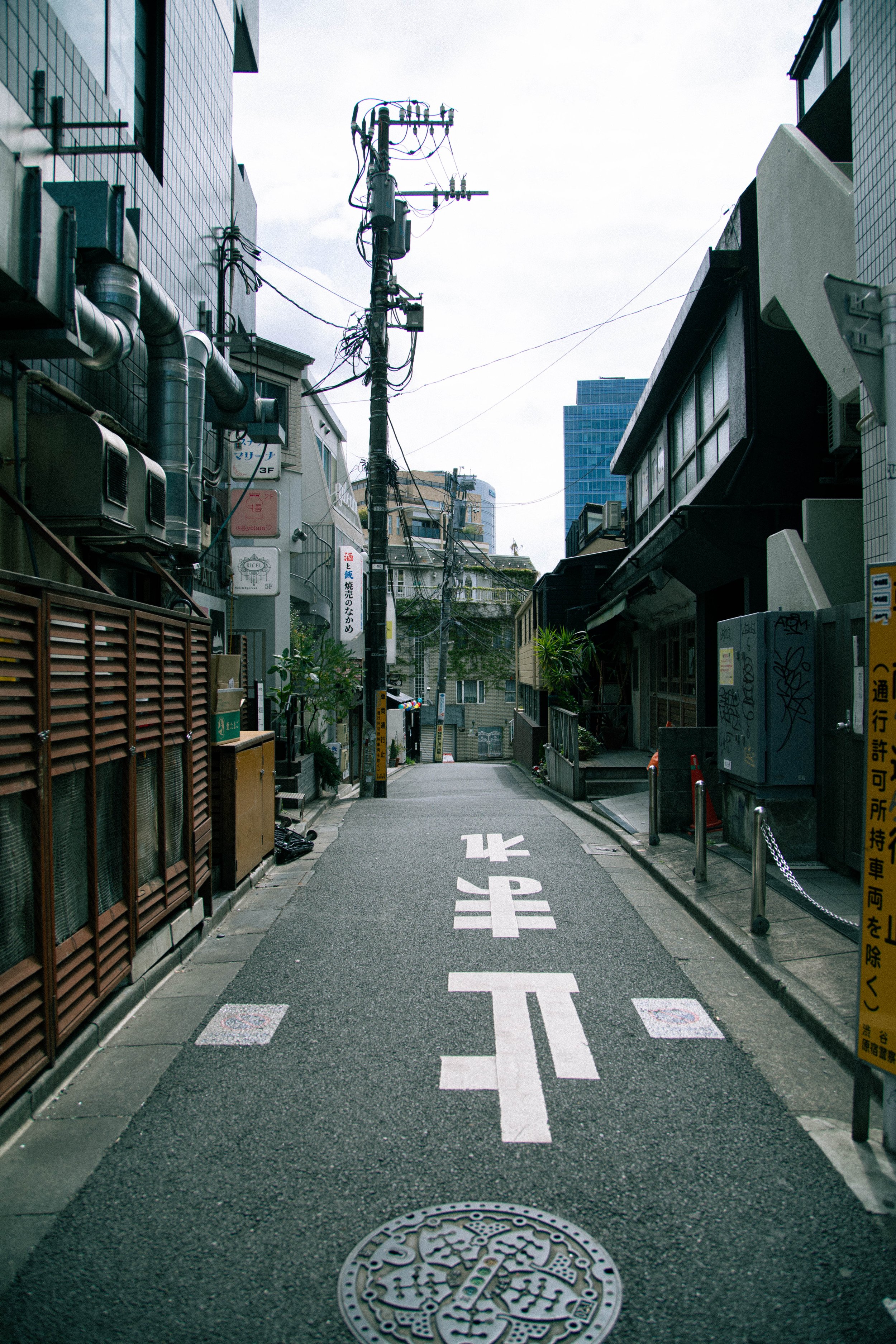 2A3A4312.jpg