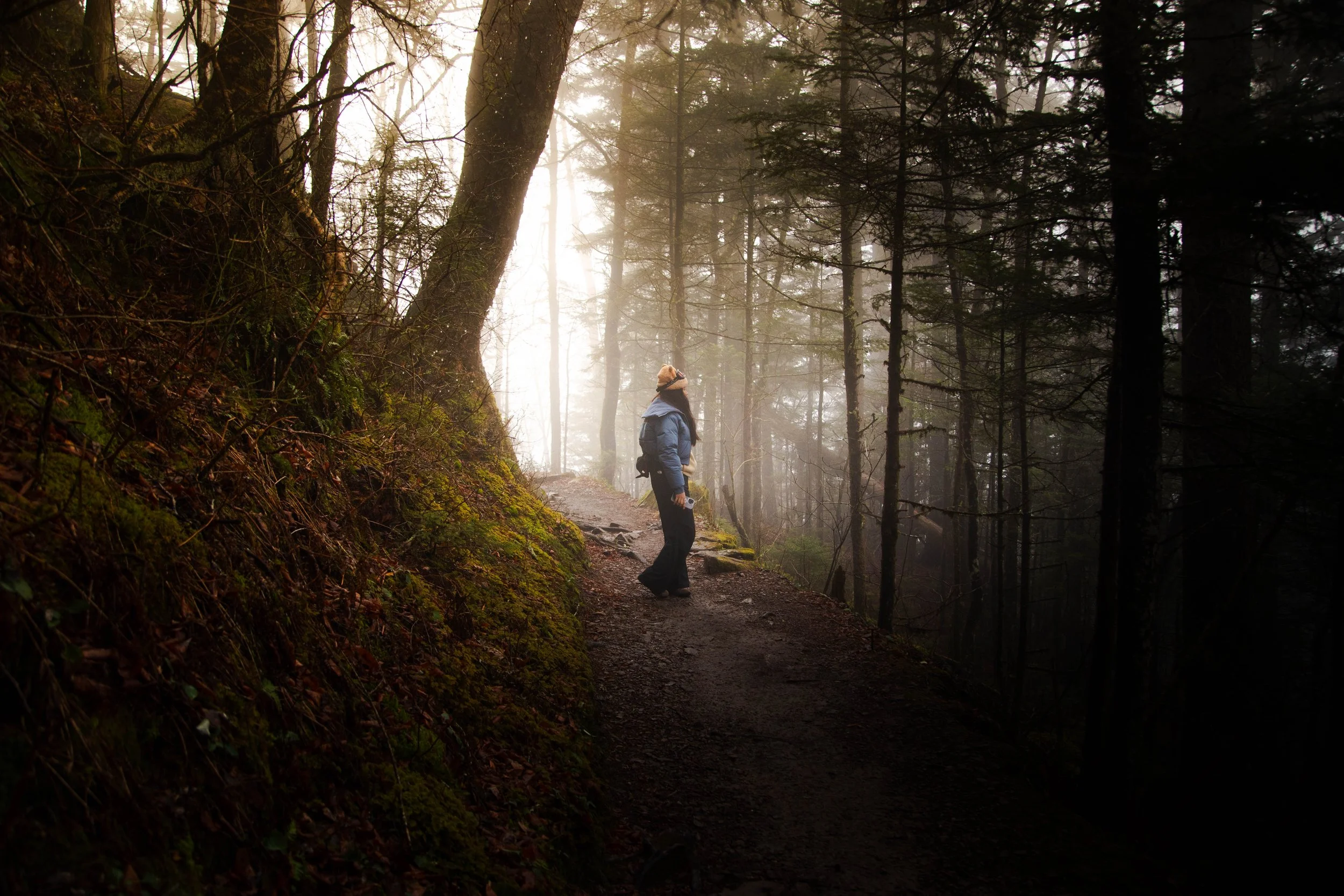 cinematic lanette.jpg