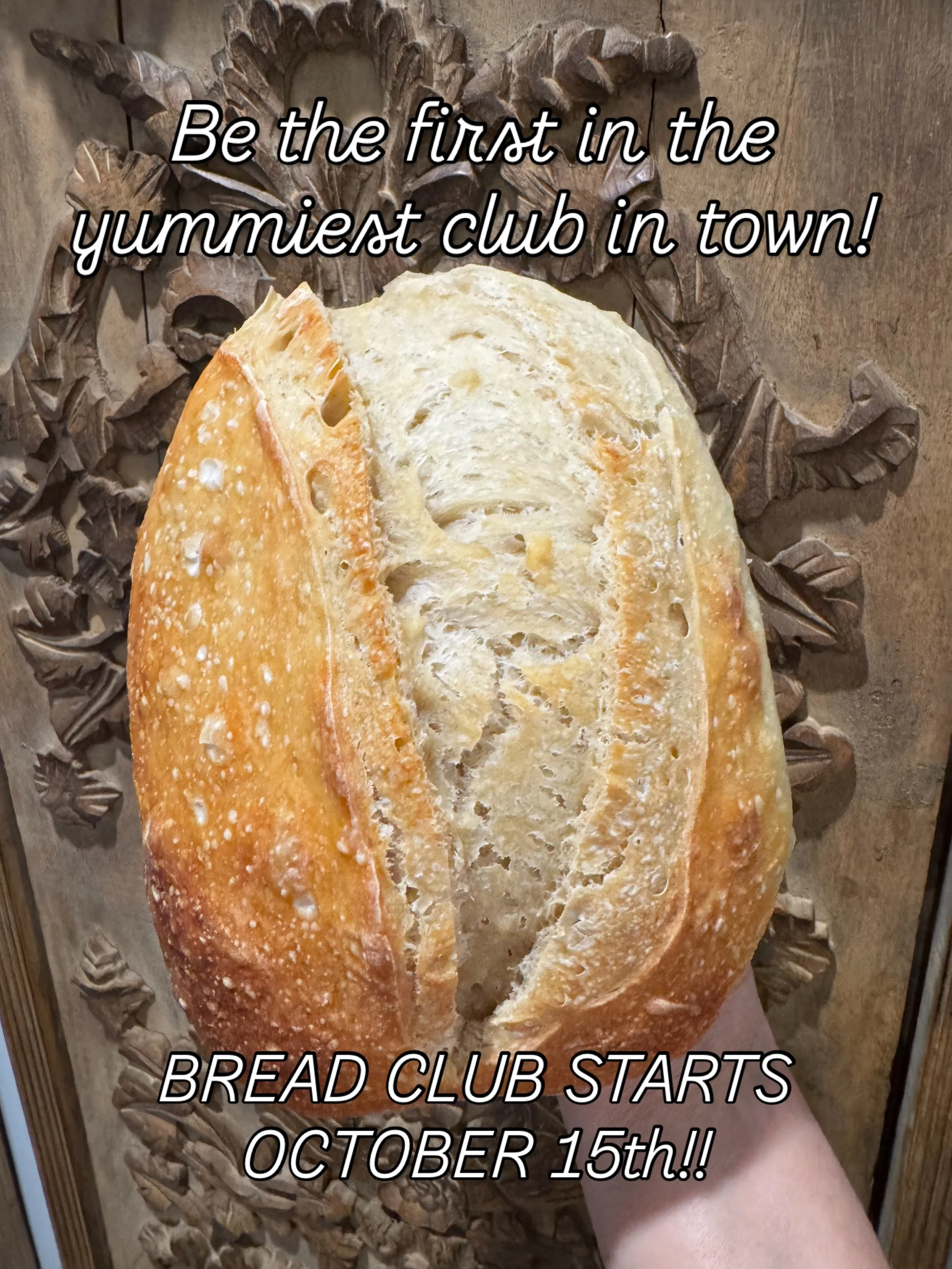 I am so proud to announce the newest club in town! So-Dough&rsquo;s Bread Club officially launches October 15th!! ✨✨

Head to my bio above to get all the deets and be among the firsts!!! 

#sourdough