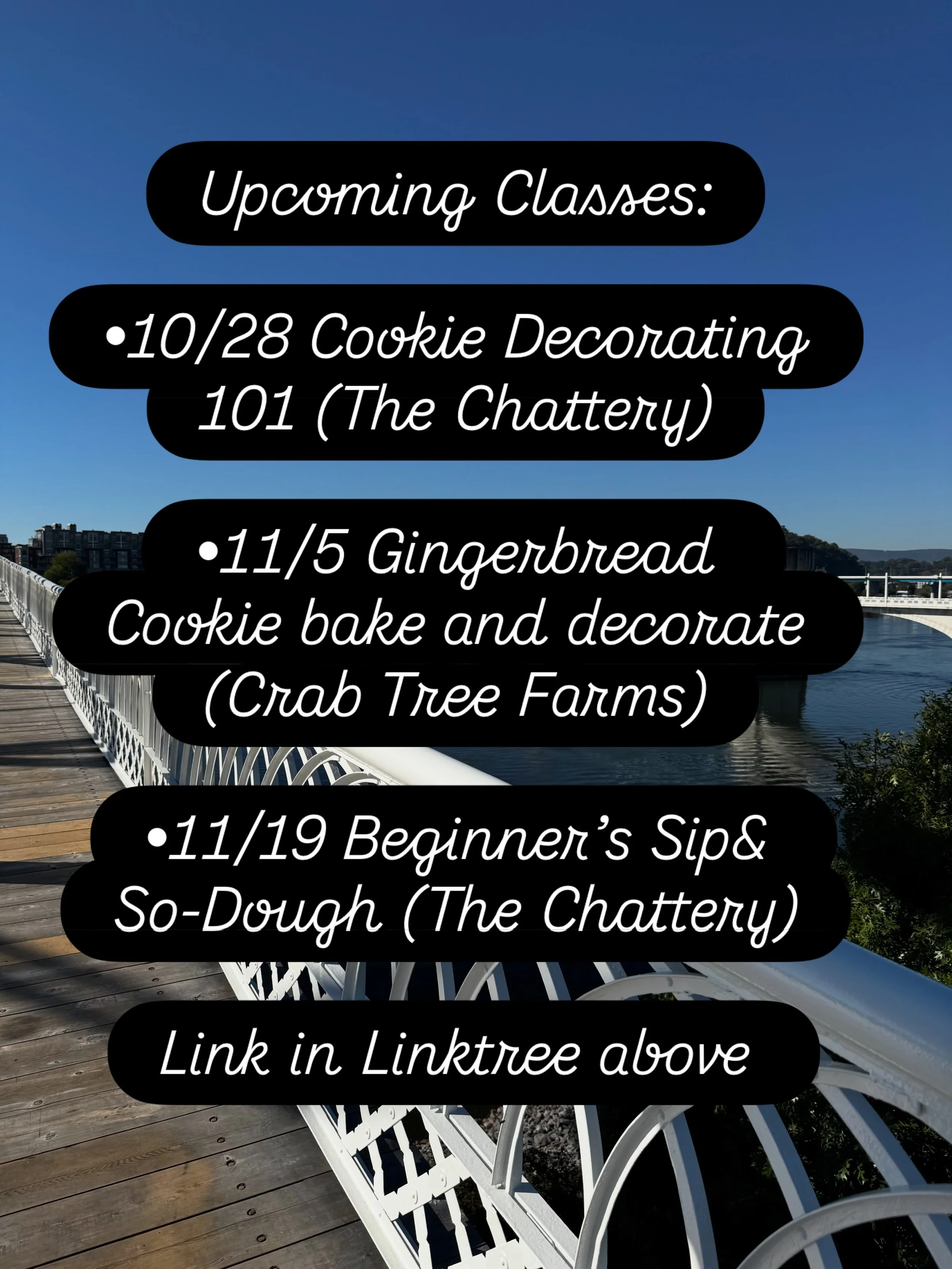 If you&rsquo;re new to sourdough, you are my favorite person! I love to teach beginners and I love a good success story! Beginner&rsquo;s Sip&amp;So-Dough is the perfect class to start with! Click &ldquo;Explore Classes&rdquo; in the linktree in my b