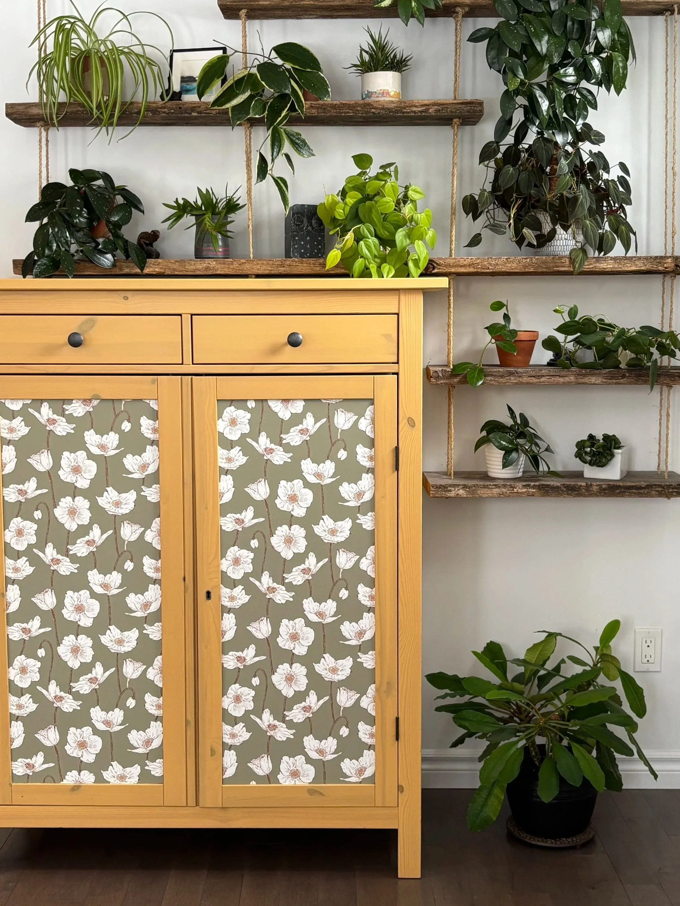 Interior view of a wooden cabinet with floral-patterned wallpaper designed by artist Jennifer Ann, against a wall with rustic wooden shelves filled with various potted houseplants.