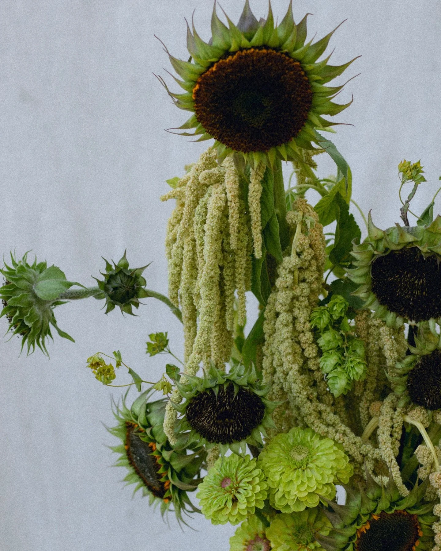 I am so pumped for the upcoming DIY Flower Bar this Saturday at @missoula_used_furniture in collaboration with @omo________ 🌼 This will be your last chance to get some Folk Valley flowers until next spring!

I&rsquo;m going to have some fun pre-made