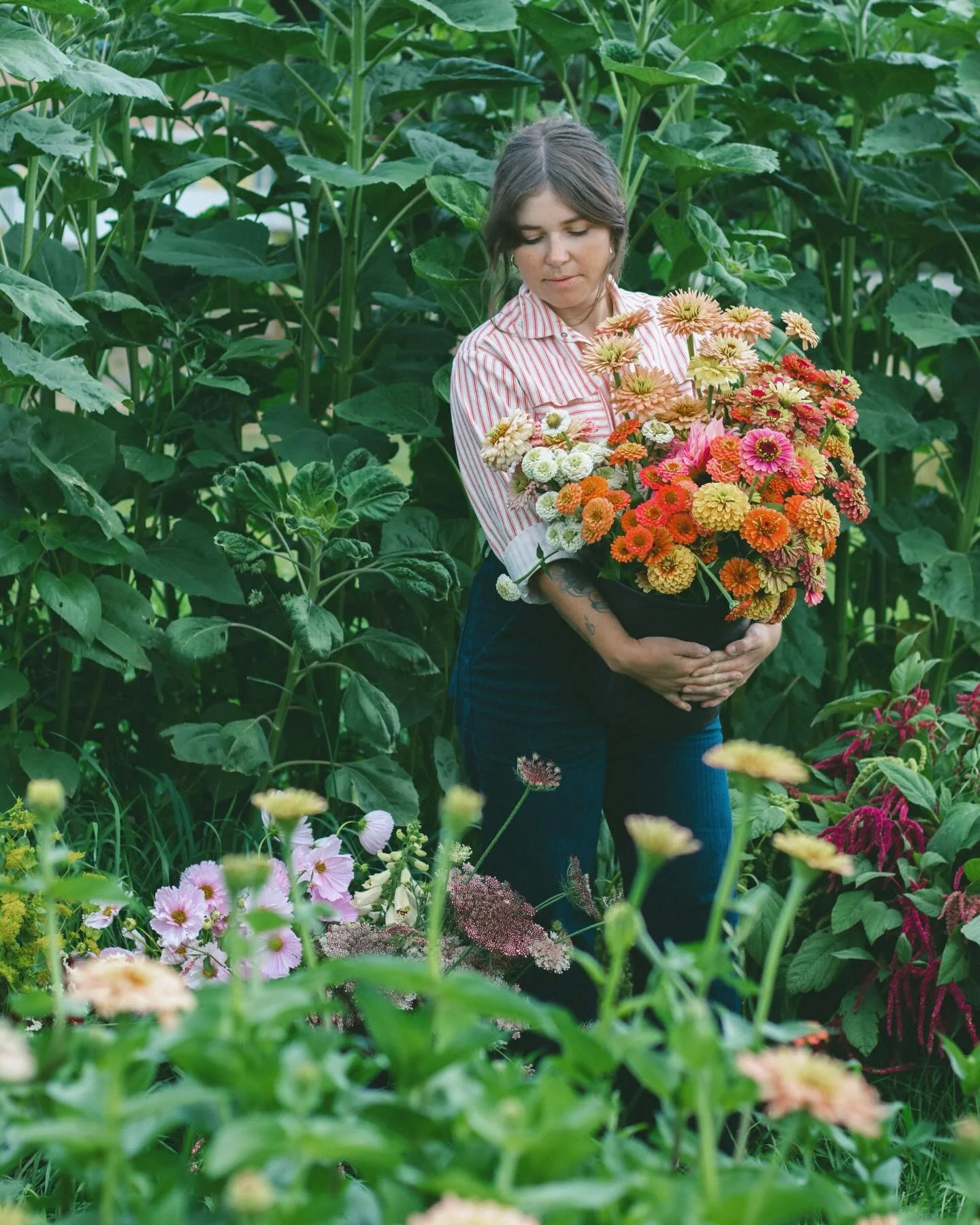 A big huge thank you from the bottom of my heart to everyone who supported my flower dreams this year. In 2025 I learned how flowers truly have the ability to bring people together and make a community more vibrant. If you know me, you know I can hav