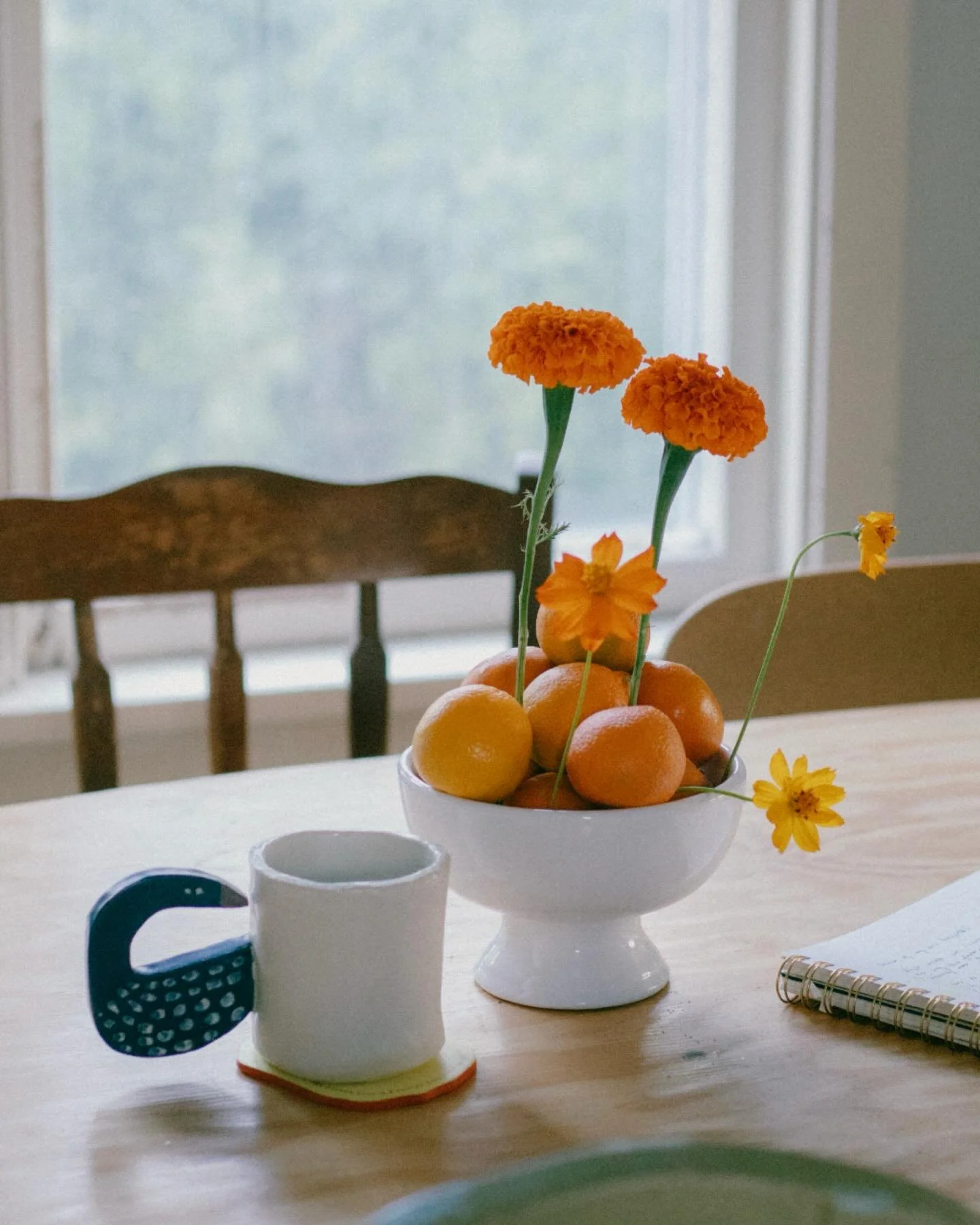 🌸 It seems hard to believe, but we are only a few months away from the return of blooms!! Yesterday I started the first of the year&rsquo;s flowers in my basement (ranunculus, anemones, sweet peas, pansies, snapdragons, and a new one called agrostem
