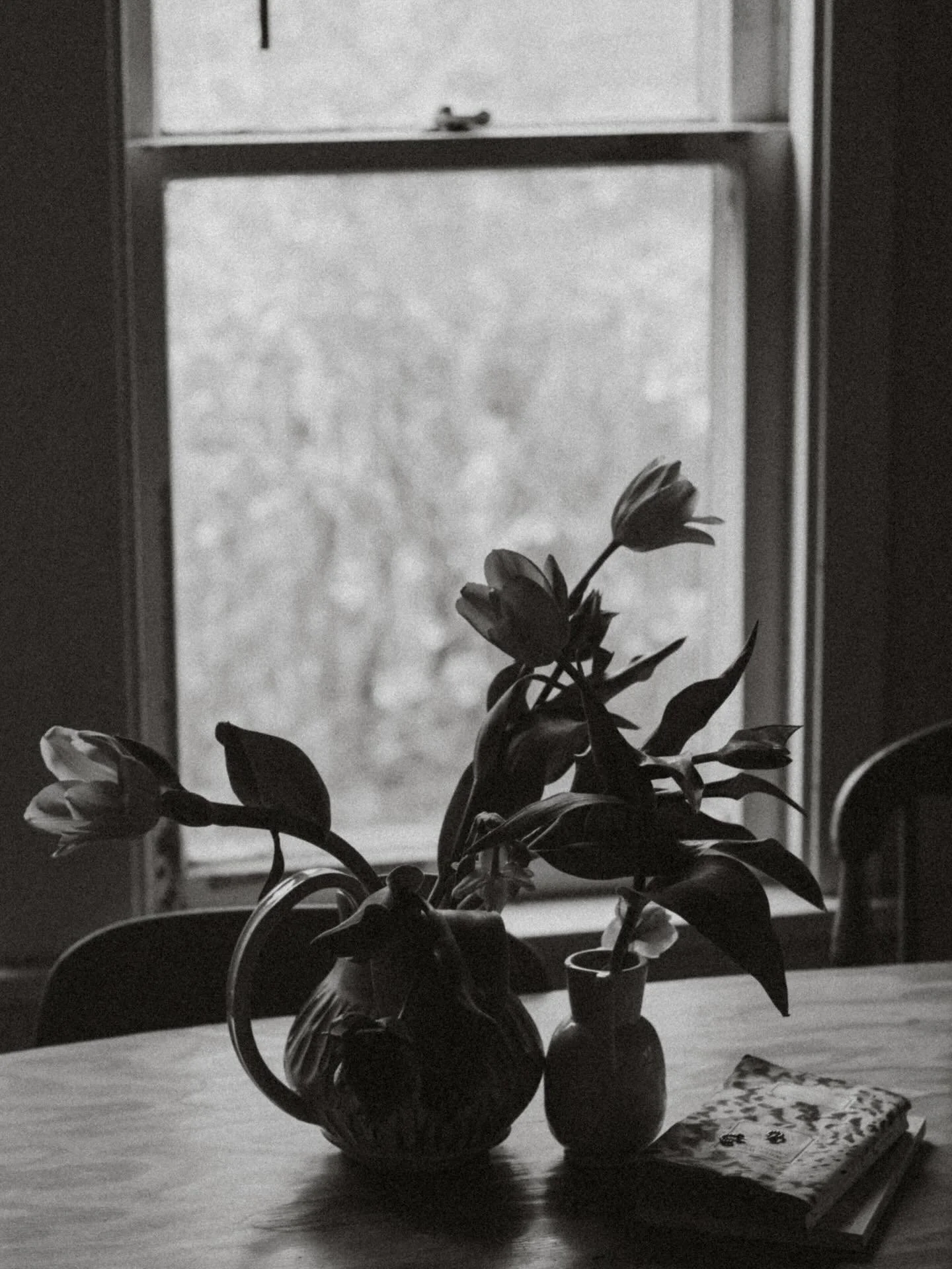 I never make grid posts because writing captions feels unnecessary most of the time, but here are some things that brought me joy lately and I think they might bring you some joy too. Surprise not surprise it&rsquo;s all flowers except for the sweeti