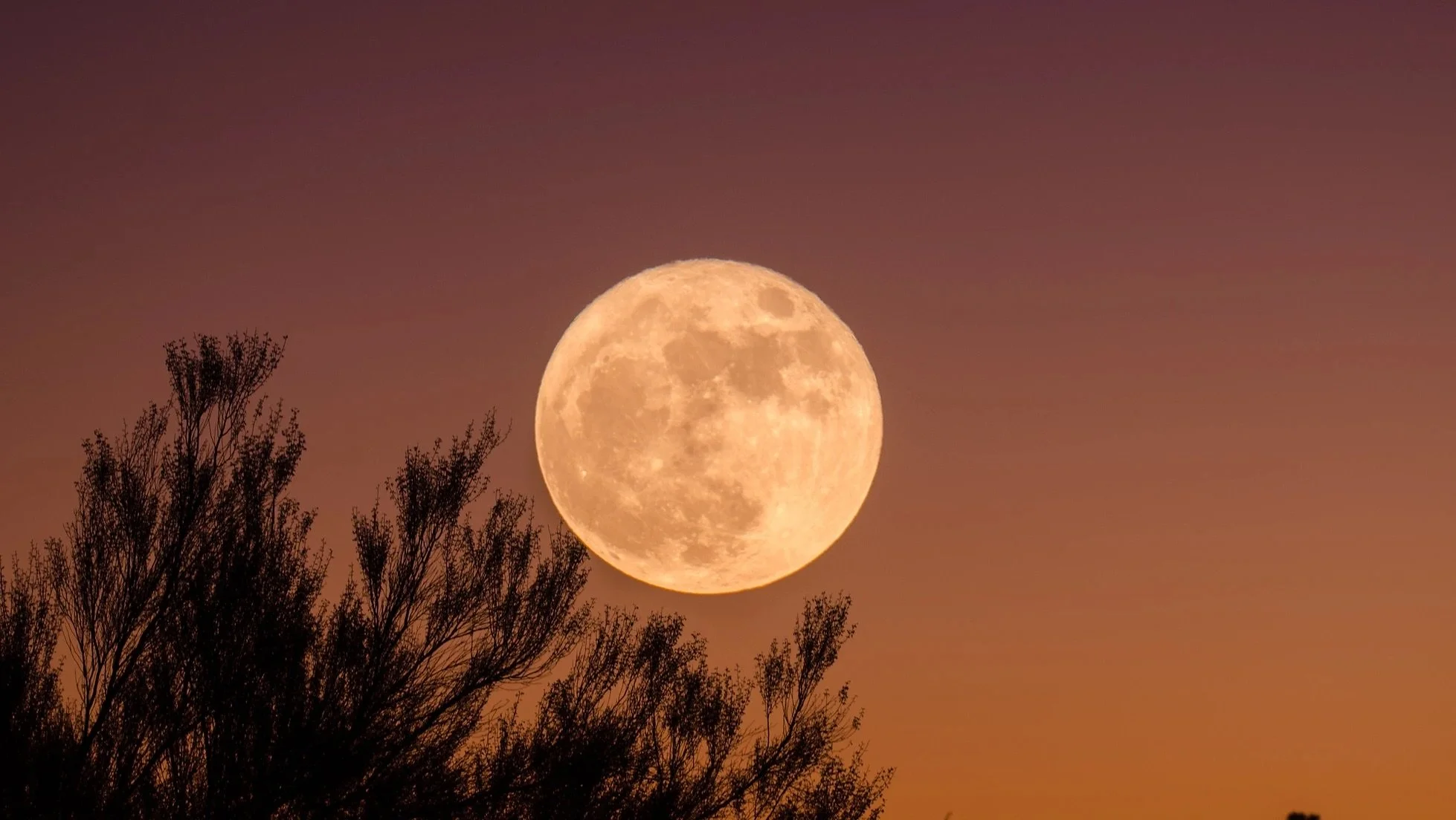 Full Moon Ceremony Hosted by: Jess