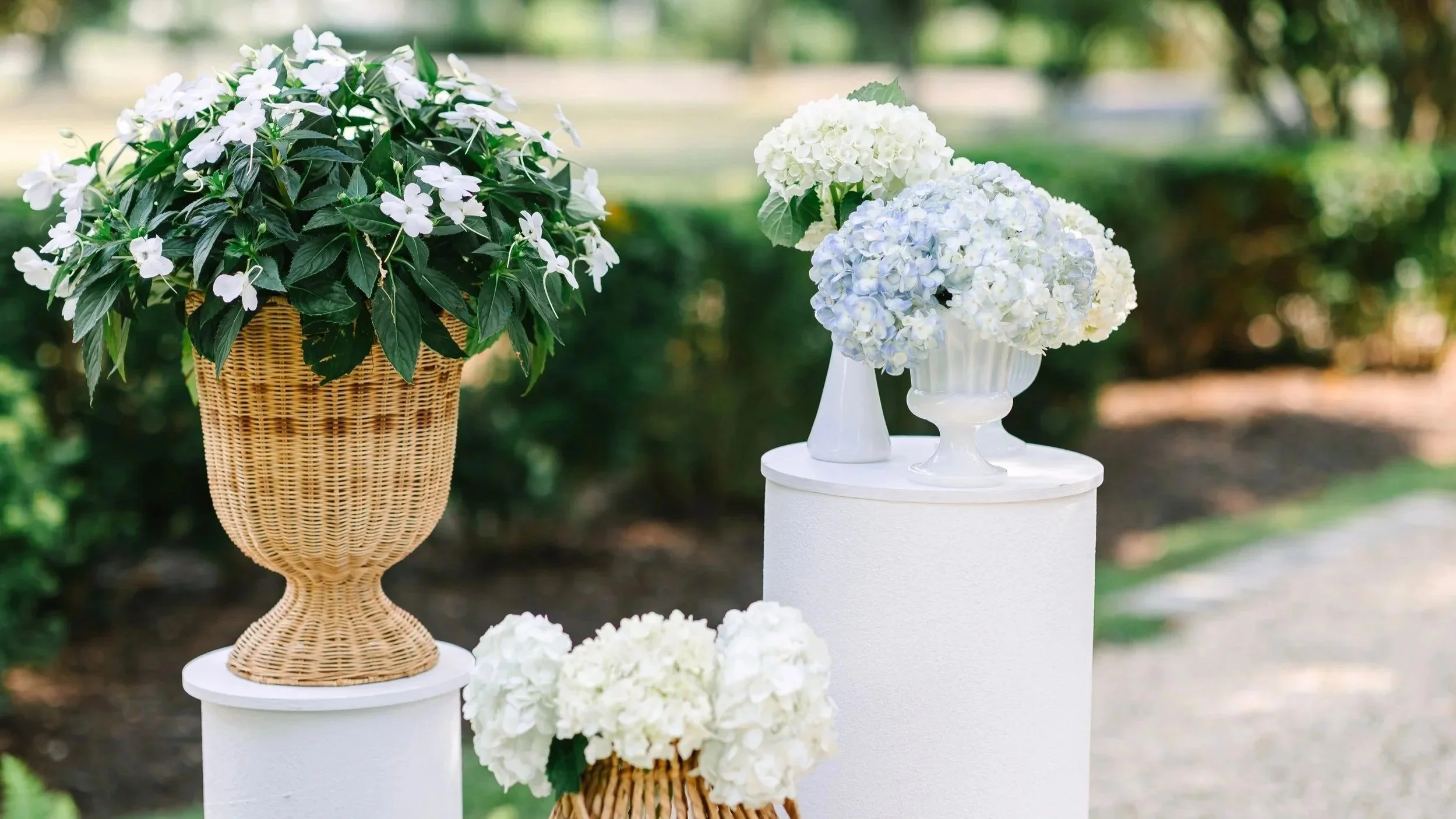 White and light blue hydrangea flowers in white vases on pedestals, with a wicker basket of greenery and white flowers in the background, outdoors in a garden setting.