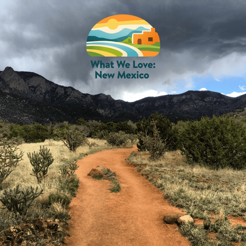 Interview with CEO Edie Dillman for ‘What We Love: New Mexico’ 