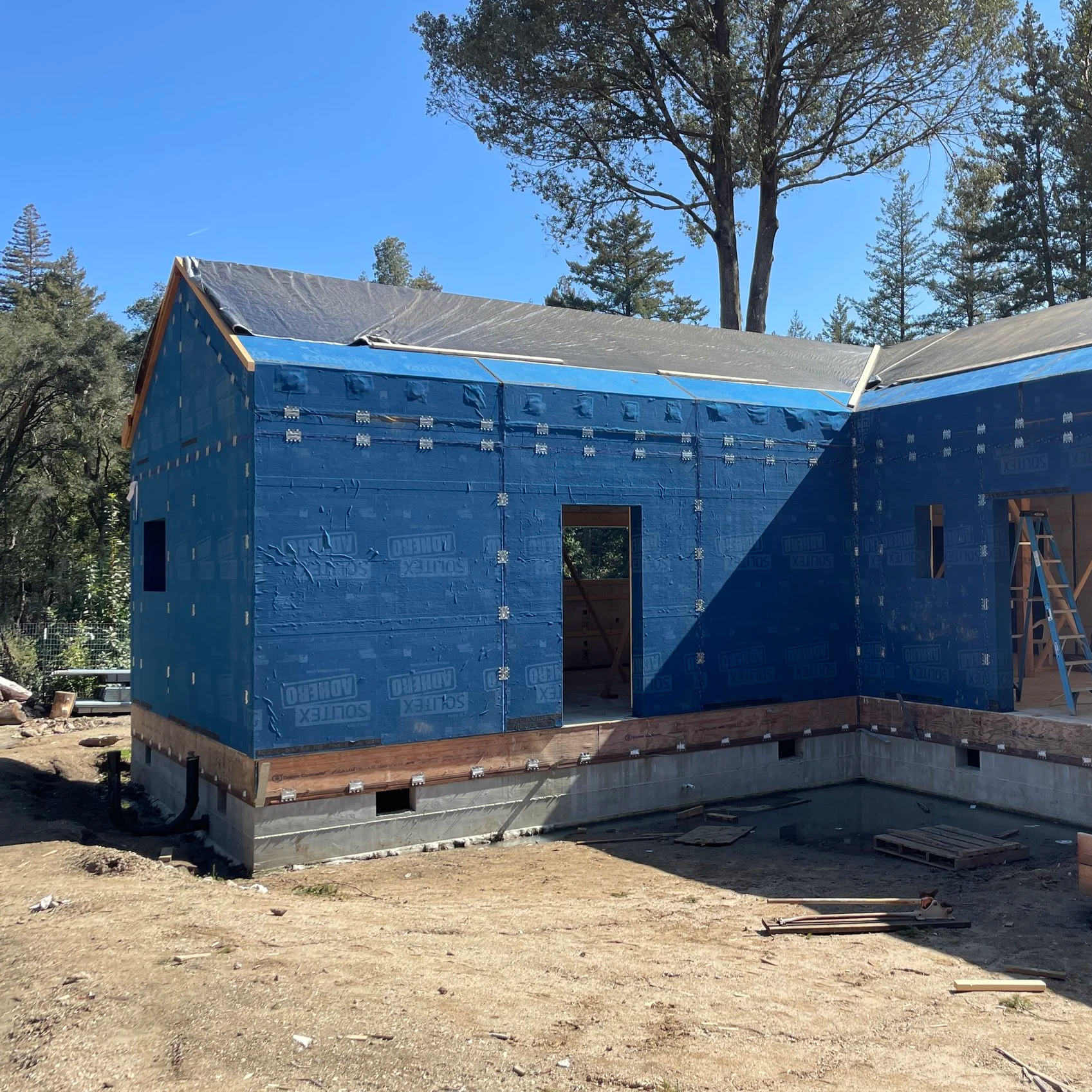 ZC House in Santa Cruz