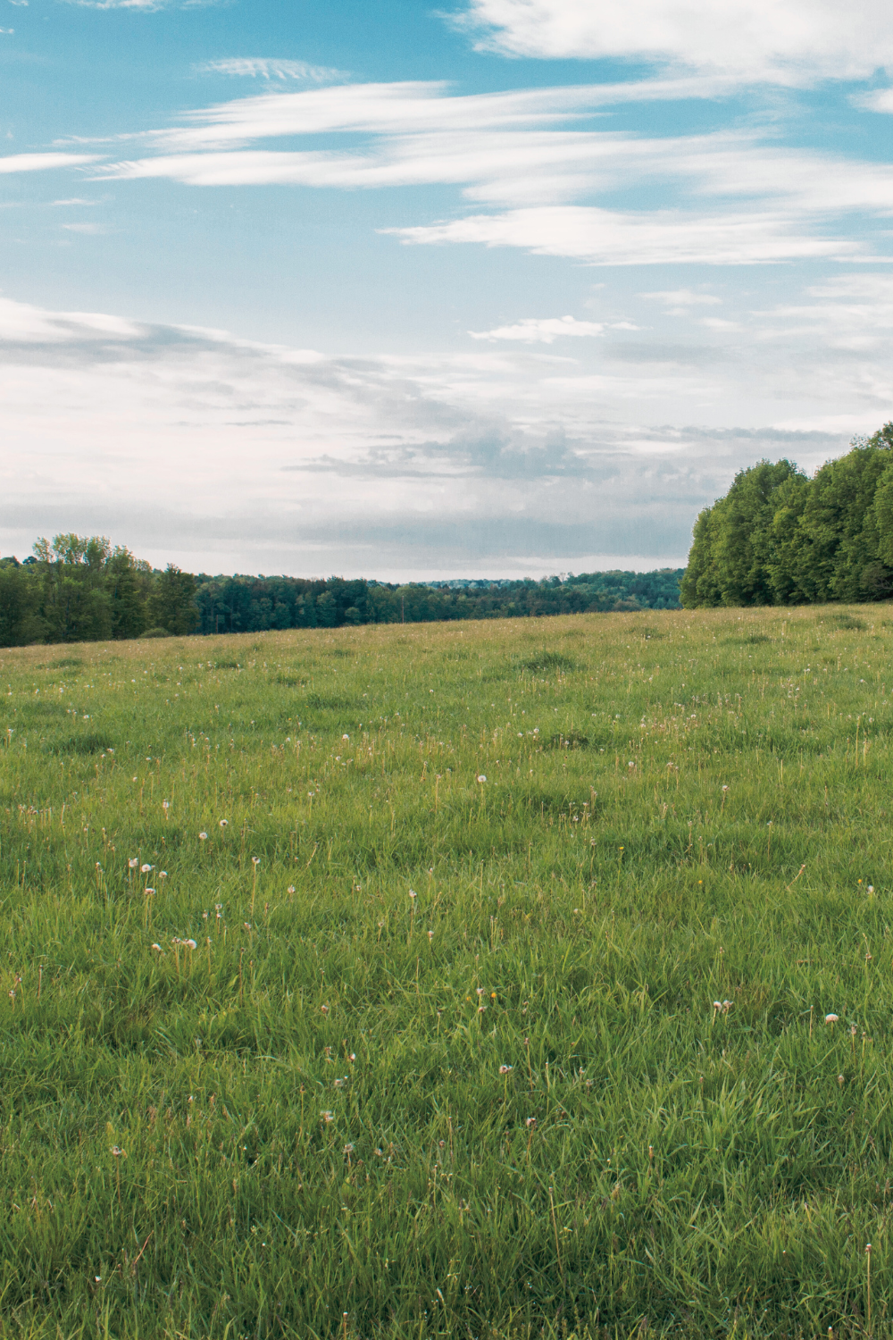 Owners, explore your journey →