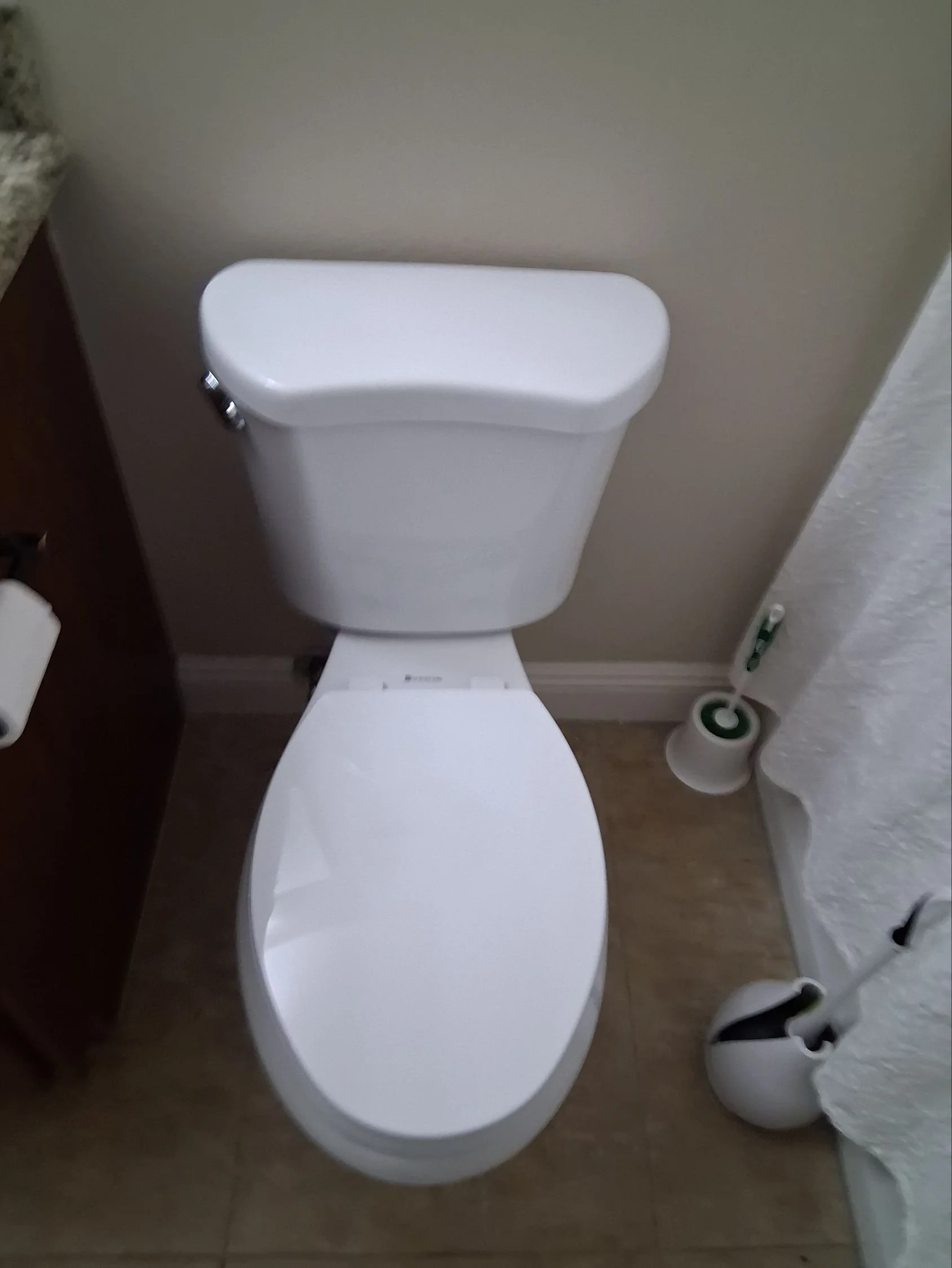 Choosing a New Toilet - Elongated vs. Round Bowls