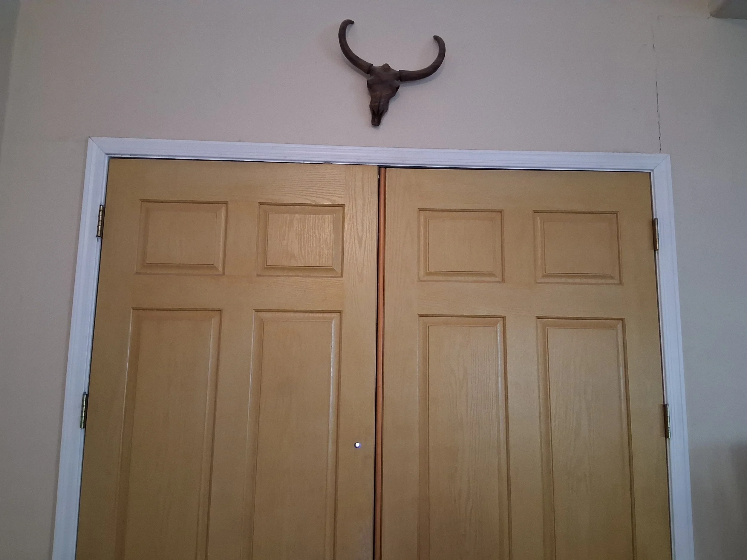 Door No Longer Opens?&nbsp; It Might Need Adjusted