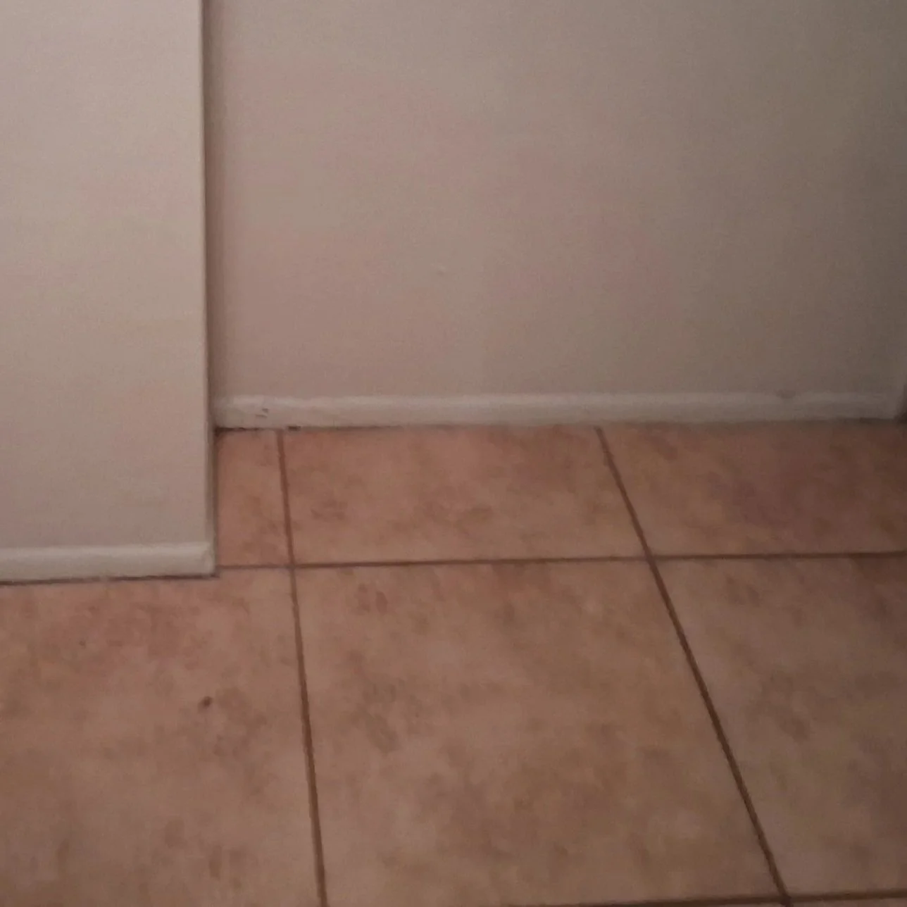 Baseboards: Repairing a Water Damaged Baseboard