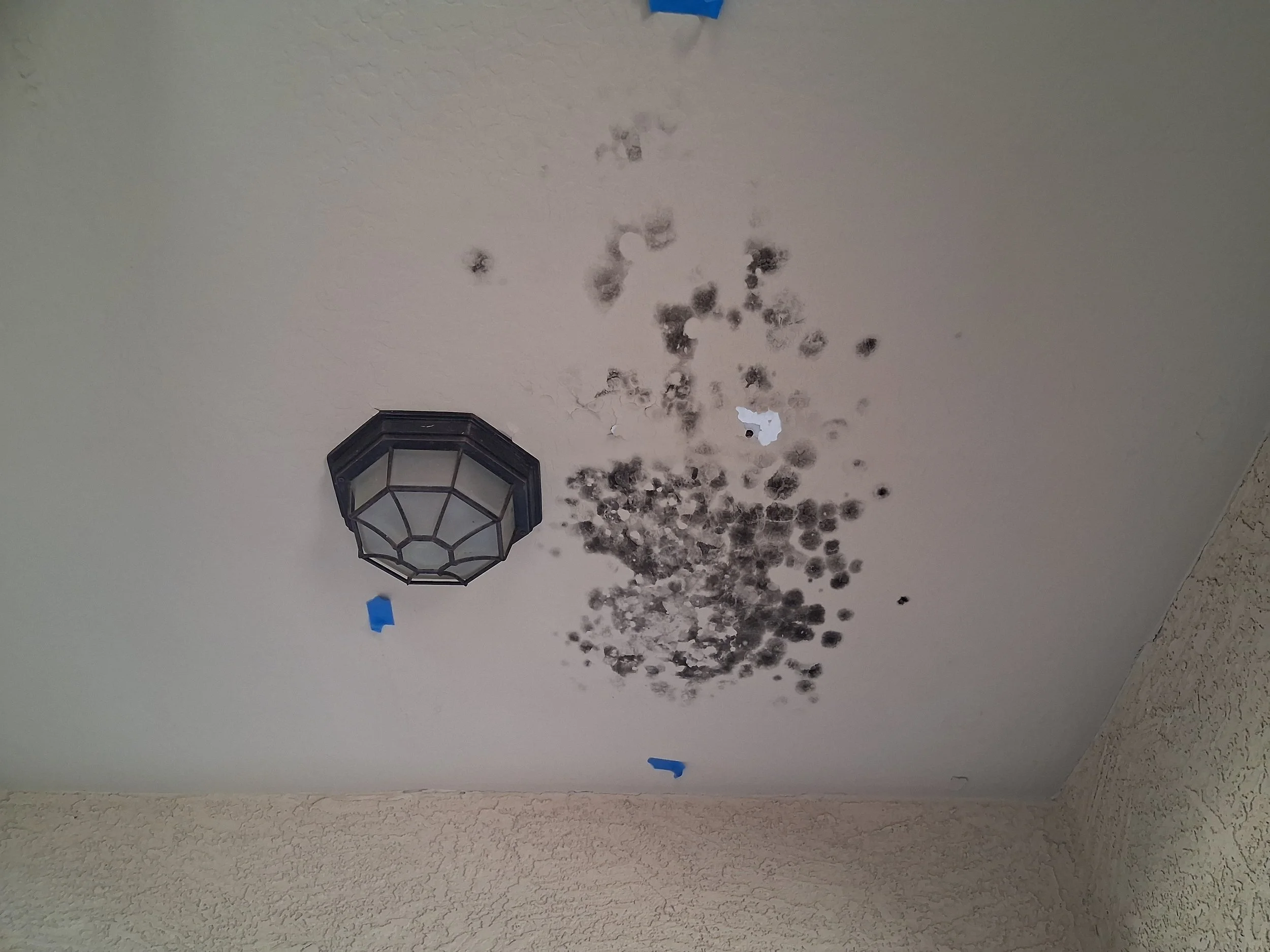 Top Drywall Issues in Rental Properties - and How to Prevent Tenant Complaints