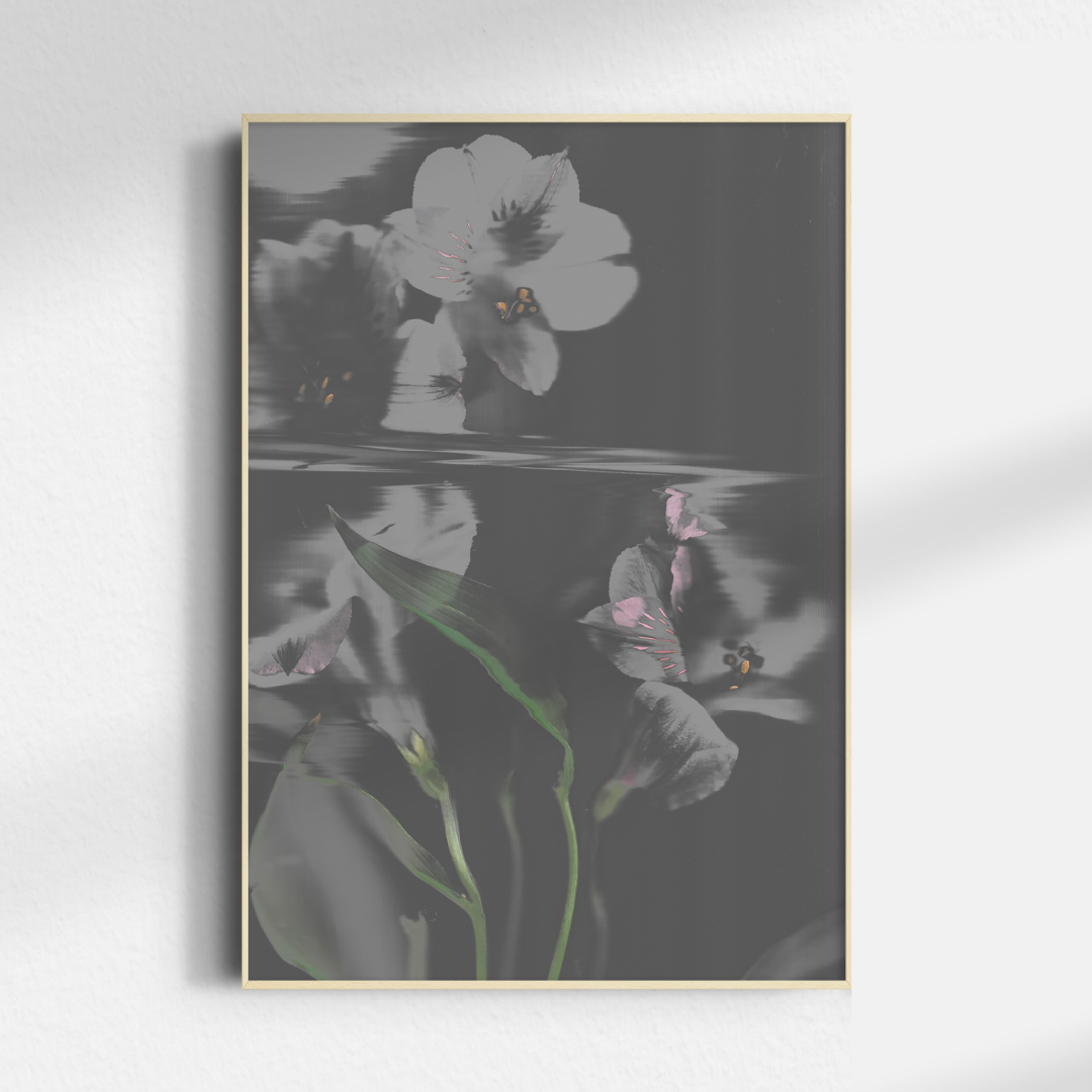 Fotografía - 70x100 y 50x70 cm