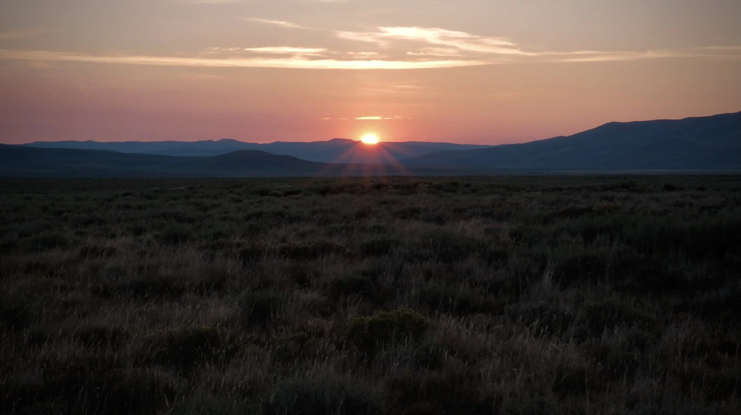 Screenshot 2025-08-05 at 9.08.13 AM.jpeg