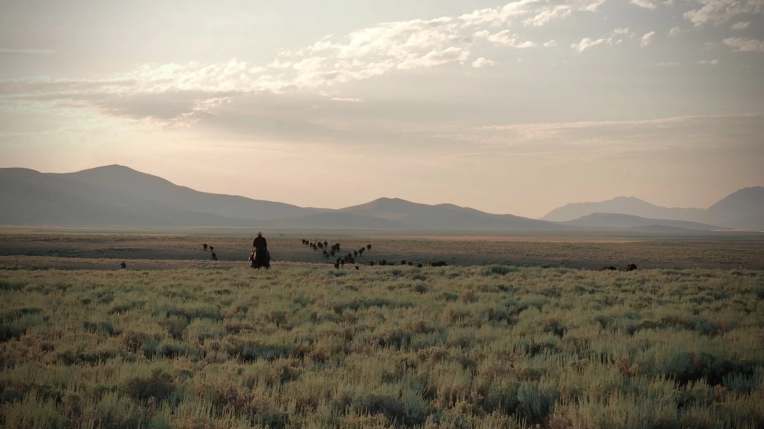 Screenshot 2025-08-05 at 9.13.01 AM.jpeg