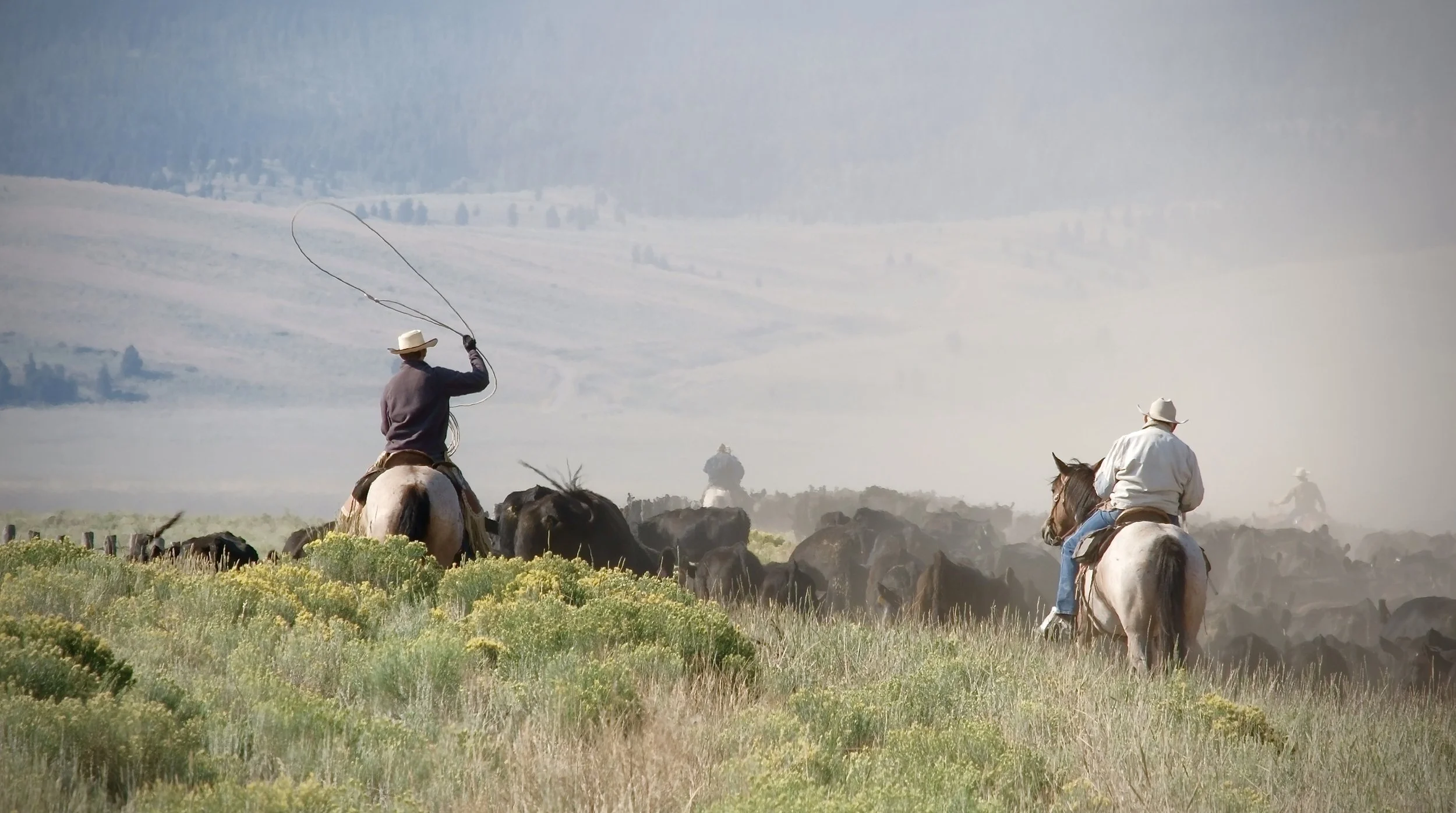 Screenshot 2025-08-05 at 9.21.41 AM.jpeg