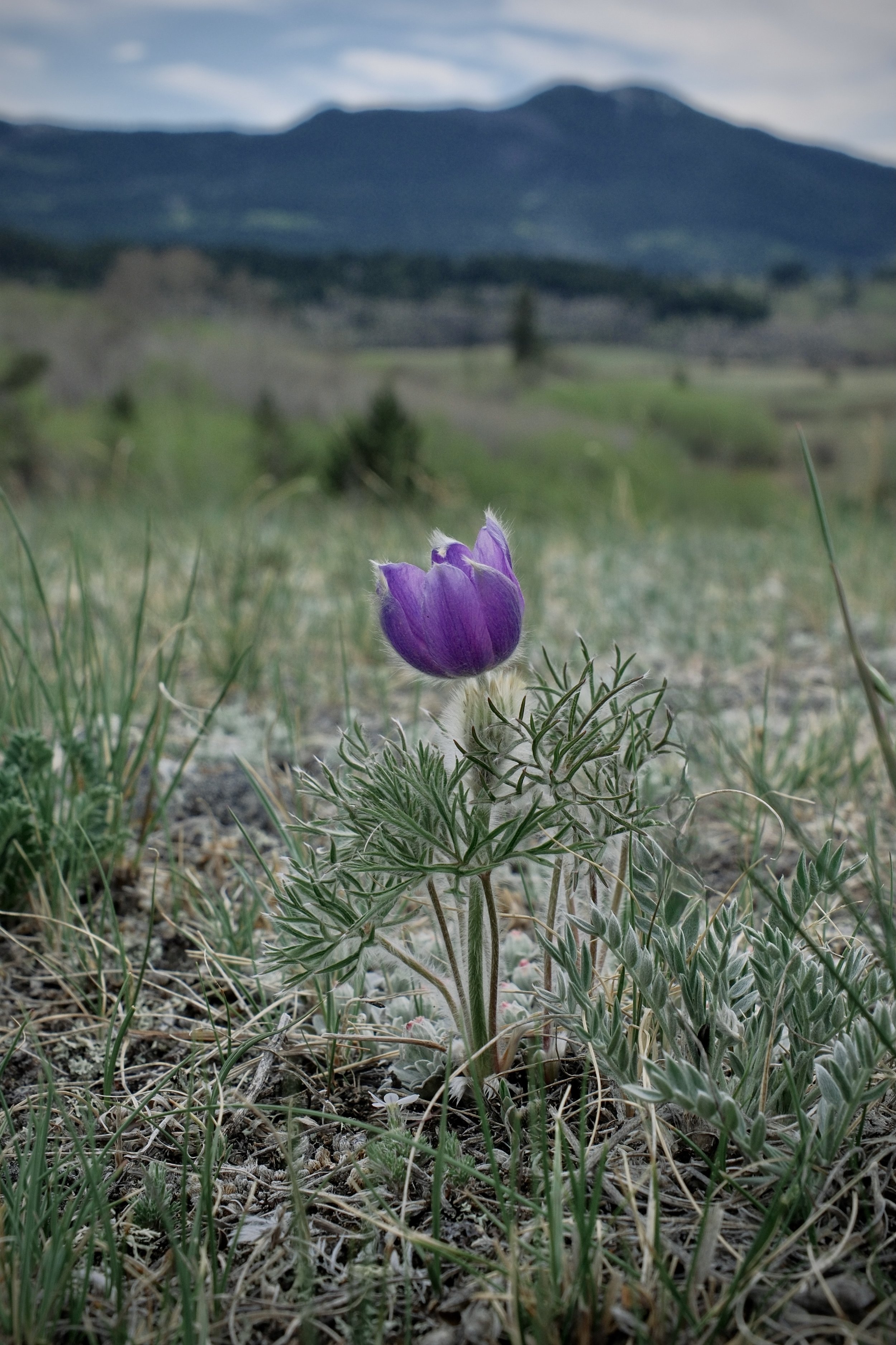 DSCF1314.jpg