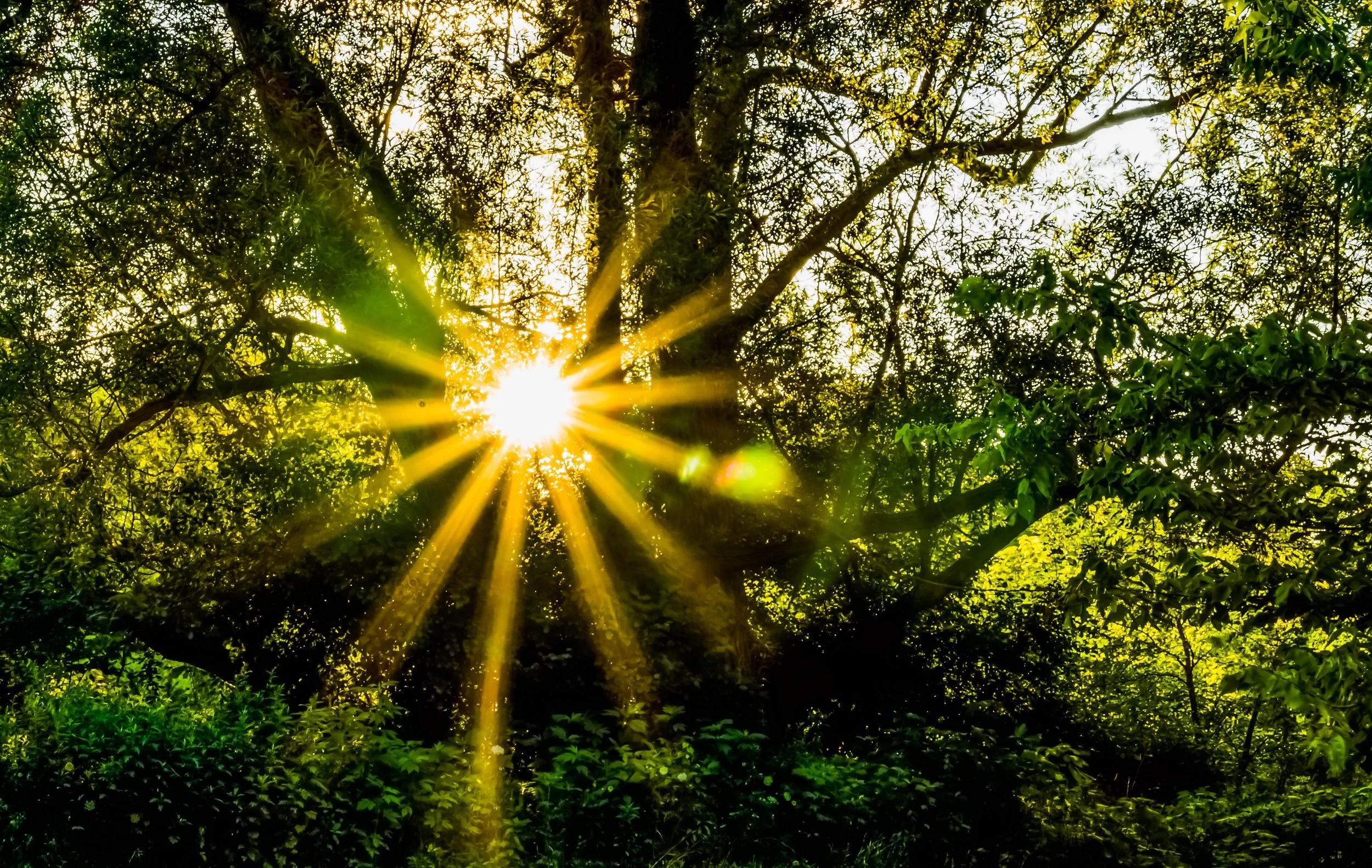 AI is Shifting the Commodity of Intelligence and Helping to Bring Forth the Commodity of Energy/Vibration