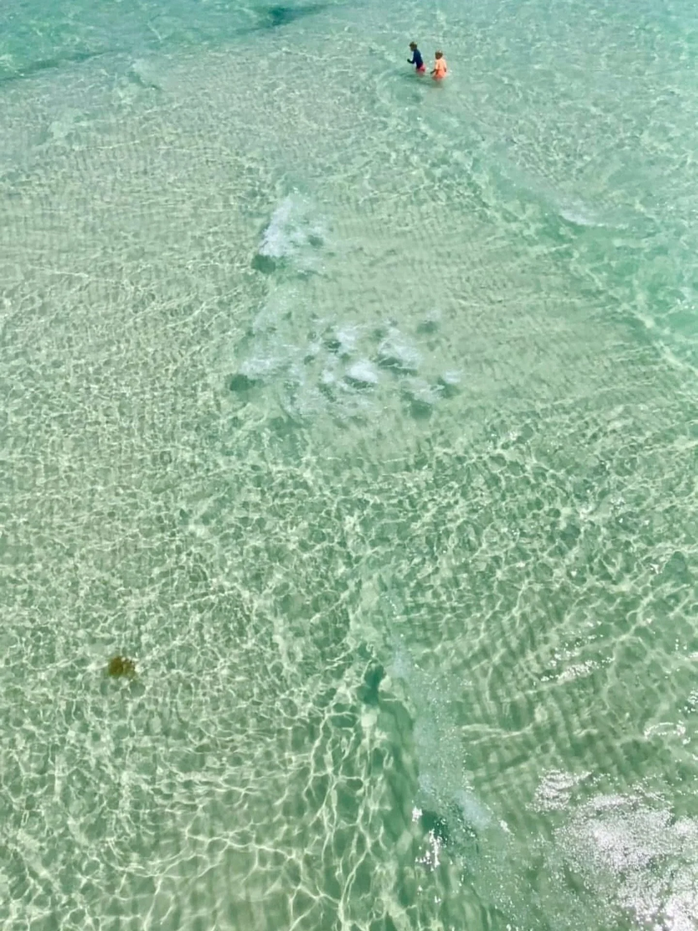 When paradise looks this clear 🌊☀️

Just minutes from our dock, the Haulover Sandbar turns into a natural playground. Shallow turquoise water, sunshine, and smiles all around. Even the little ones can safely splash and play while you kick back and r