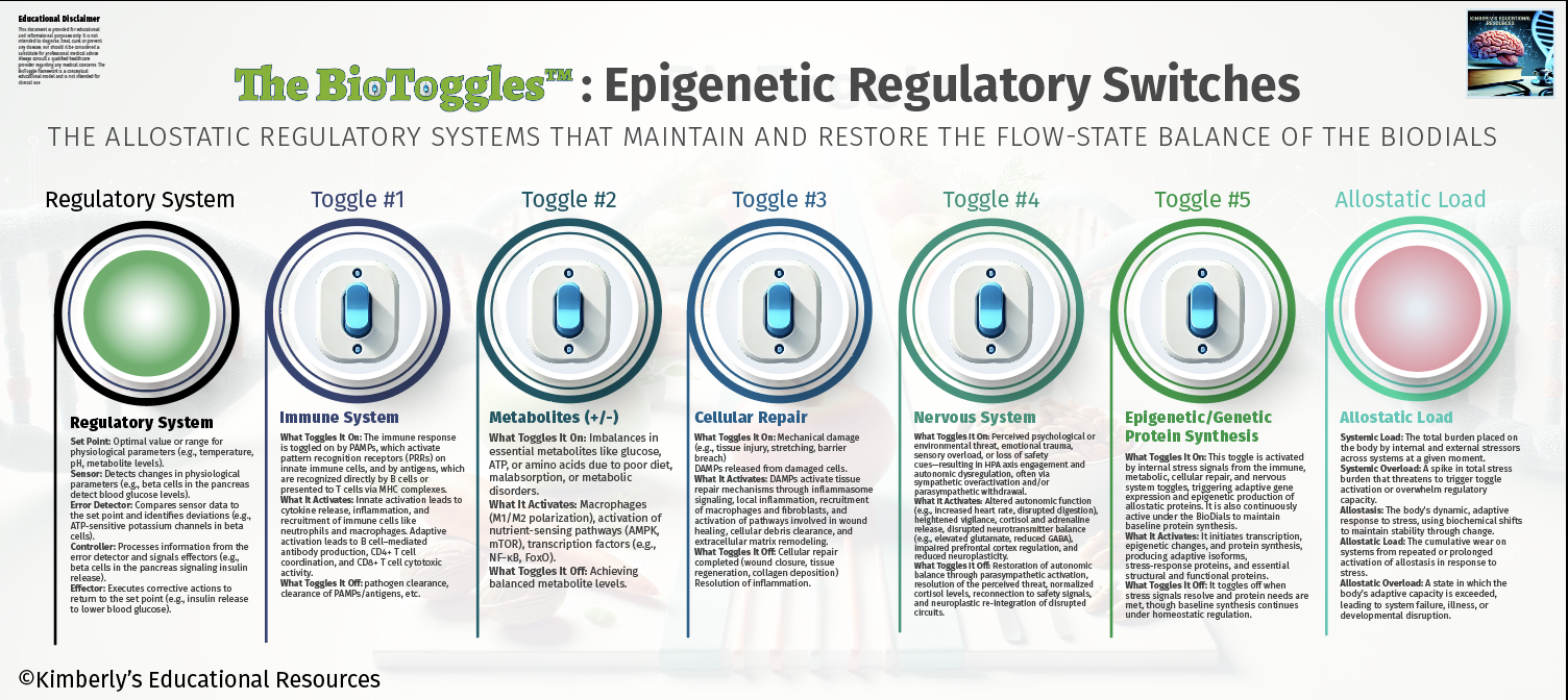 An infographic explaining epigenetic regulatory switches, including toggle systems and their functions in maintaining and restoring flow-state balance of biometric systems, with detailed descriptions of each toggle and load.