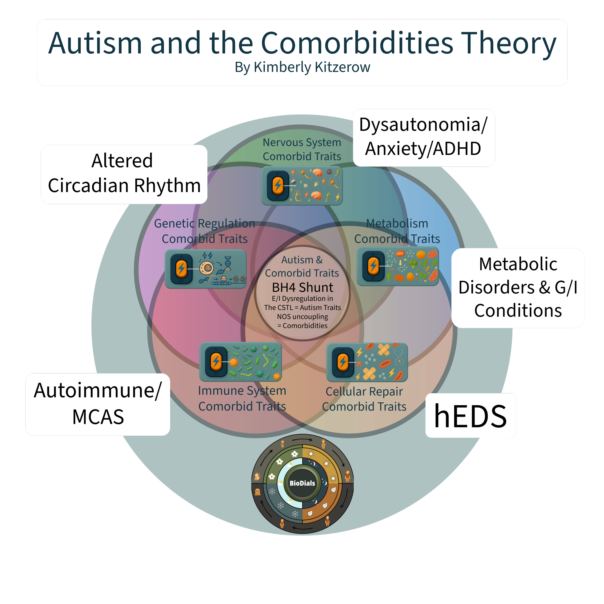 Diagram illustrating the Autism and the Comorbidities Theory, showing overlapping traits and conditions such as nervous system comorbid traits, genetic regulation, immune system, cellular repair, metabolic disorders, and neurodevelopmental disorders, centered around the BioDials model.