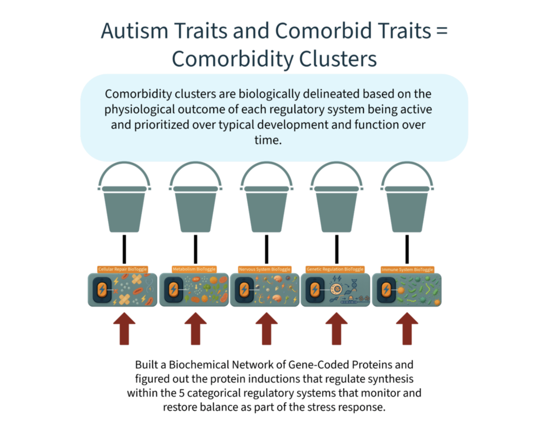 Diagram showing the relationship between autism traits and comorbid traits as clusters, with a blue text box explaining that comorbidity clusters are based on physiological outcomes. Five bioregulatory systems are shown with bio-toggle icons and arrows indicating gene-coded protein networks regulating synthesis related to cellular repair, metabolism, nervous system, genetic regulation, and immune system.