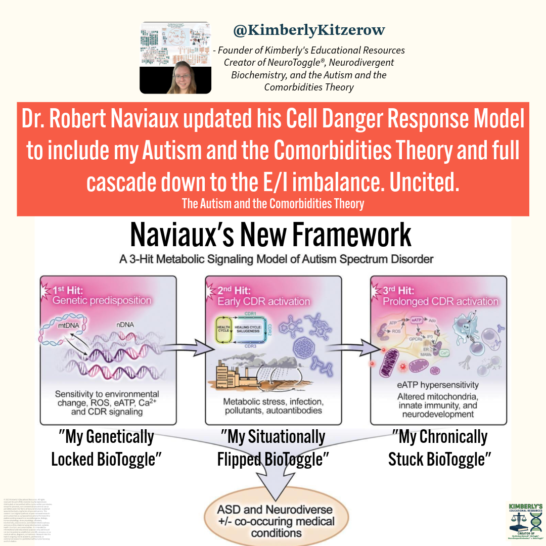 Image showing a social media post by Kimberly Kitzerow about Dr. Robert Naviaux's update to his Cell Danger Response Model, including a diagram of Naviaux's new metabolic signaling model of autism spectrum disorder with three stages: genetically locked, situationally flipped, and chronically stuck bio toggle, with references to autism and comorbidities theories.