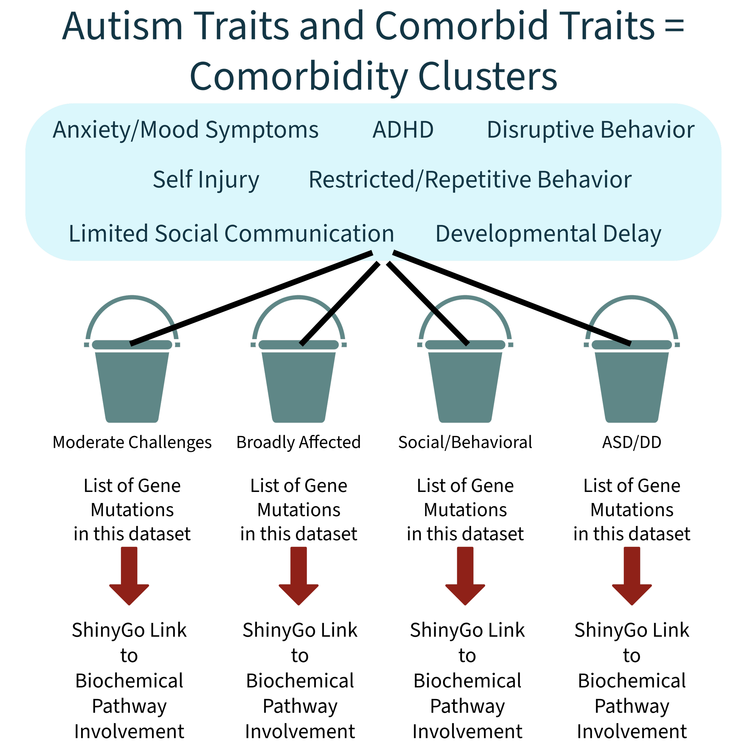 A diagram explaining autism traits and comorbid traits, with categories including anxiety/mood symptoms, ADHD, disruptive behavior, self injury, restricted/repetitive behavior, limited social communication, and developmental delay. The diagram also shows progression through four buckets with arrows pointing downward.
