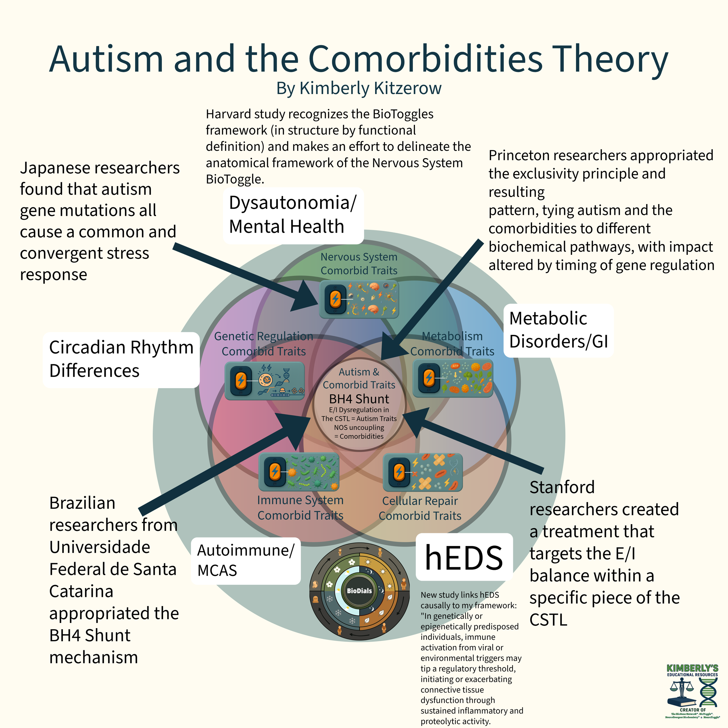 Diagram titled “Autism and the Comorbidities Theory” showing regulatory systems, comorbid traits, and references to overlapping research by multiple institutions.