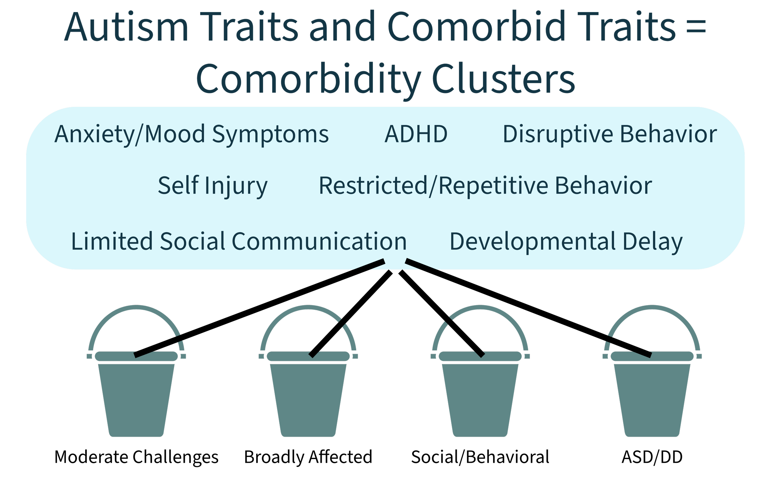Chart displaying autism traits and comorbid traits as clusters. Blue oval contains traits such as anxiety/mood symptoms, ADHD, disruptive behavior, self-injury, restricted/repetitive behavior, limited social communication, and developmental delay. Below, four buckets with varying levels of behavior are depicted.