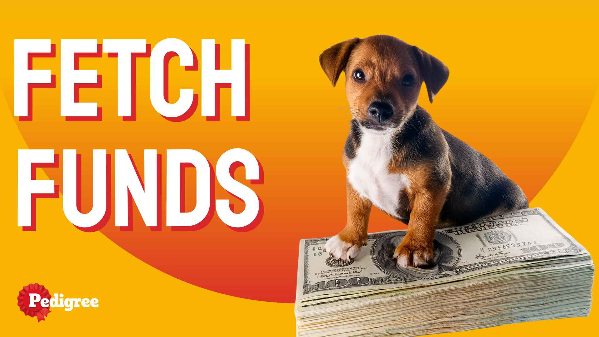 fetch funds (4).png